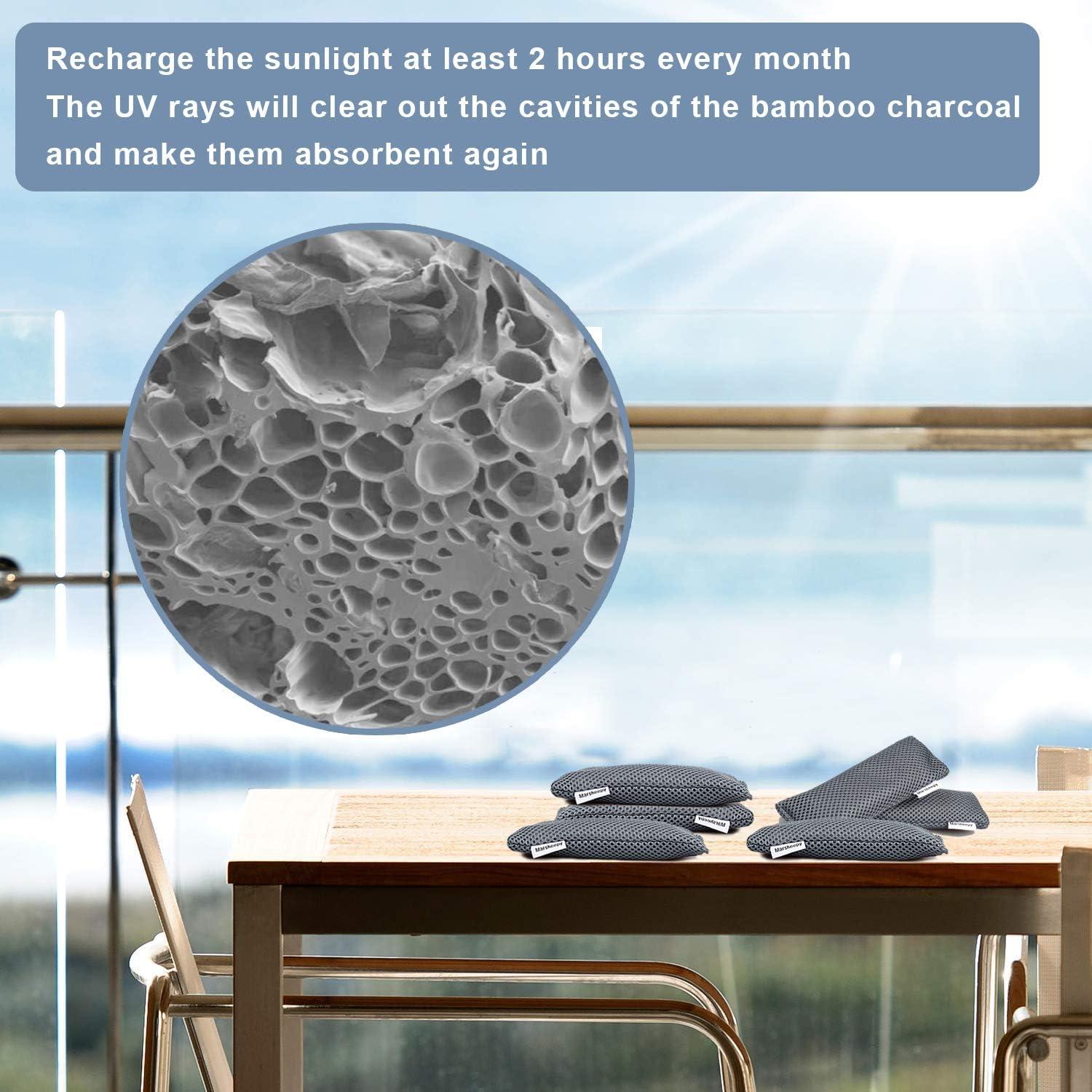 Paquete de 12 Bolsas Desodorantes de Carbón Activado 0.68 kg