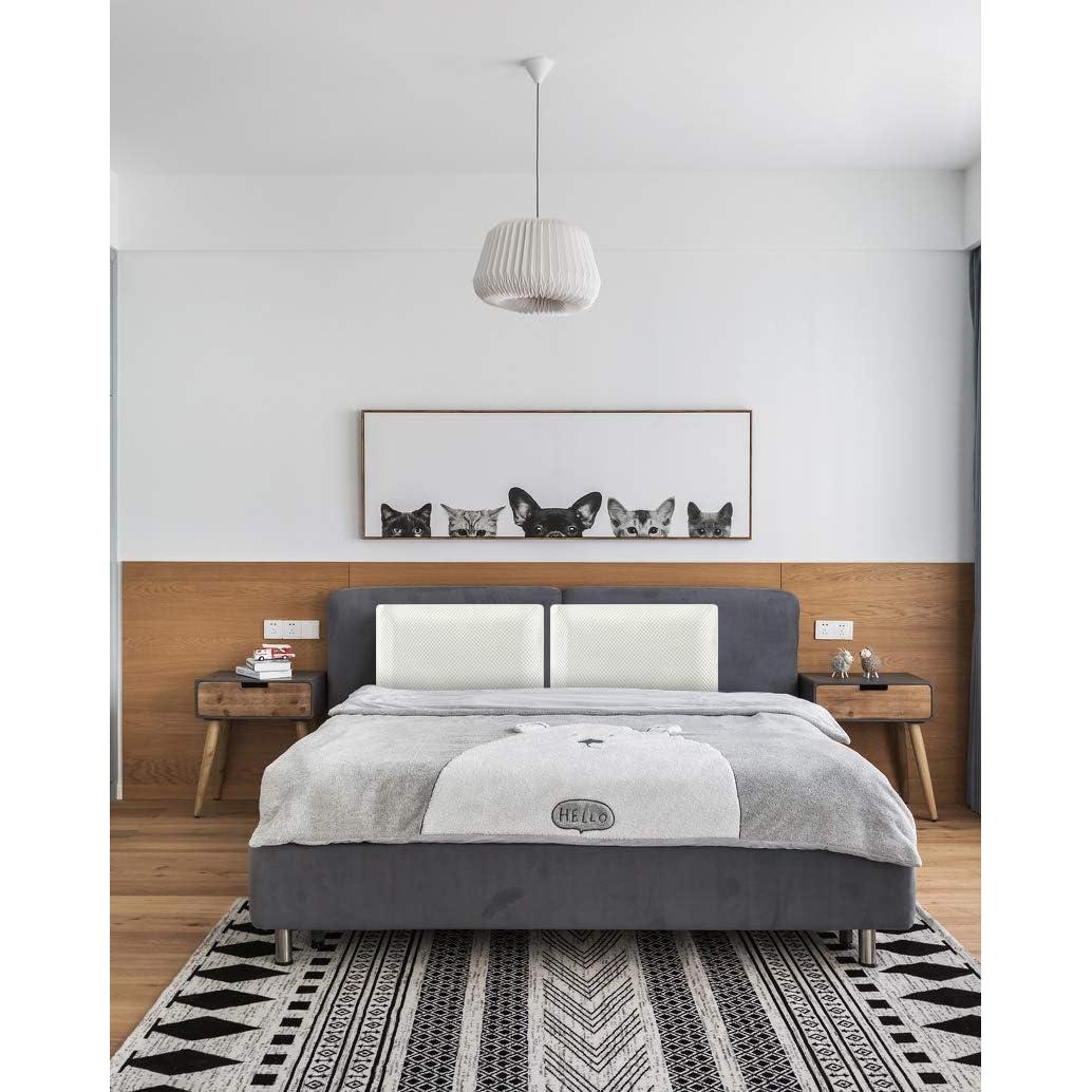 Almohada Viscoelástica DLIGHT BD Slim-002 2.7" Ultra Delgado