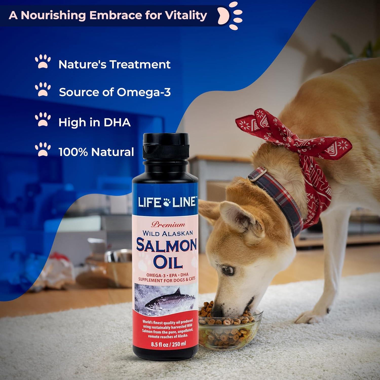 Suplemento Aceite de Salmón Salvaje Alaska Life Line 240 g