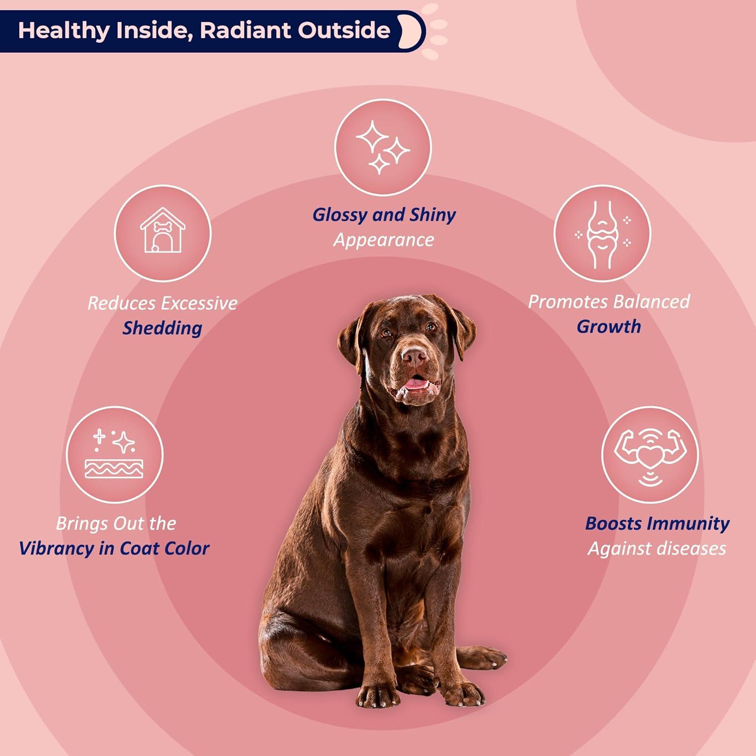 Suplemento Aceite de Salmón Salvaje Alaska Life Line 240 g