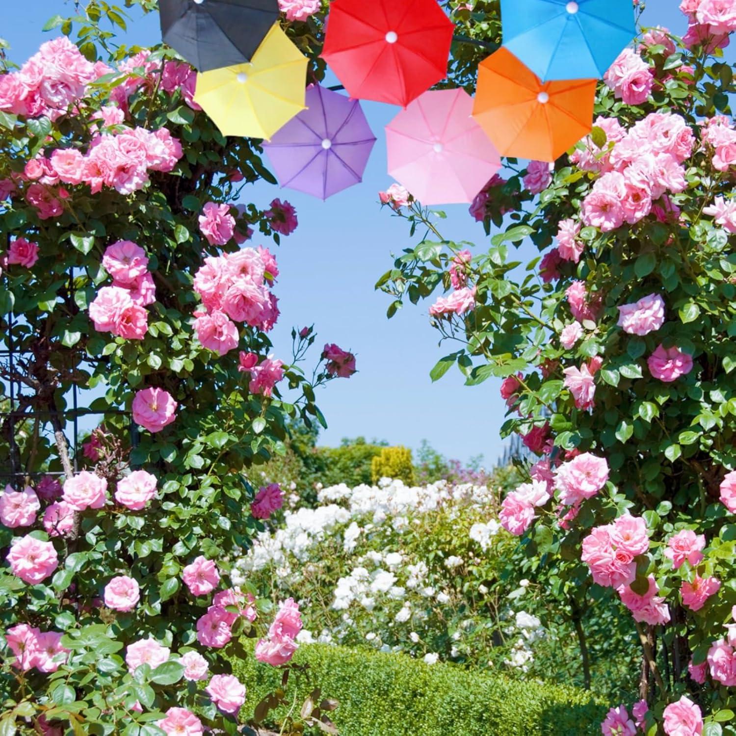 Paraguas Miniatura Hiawbon 8 Pcs Coloridos Ajustables