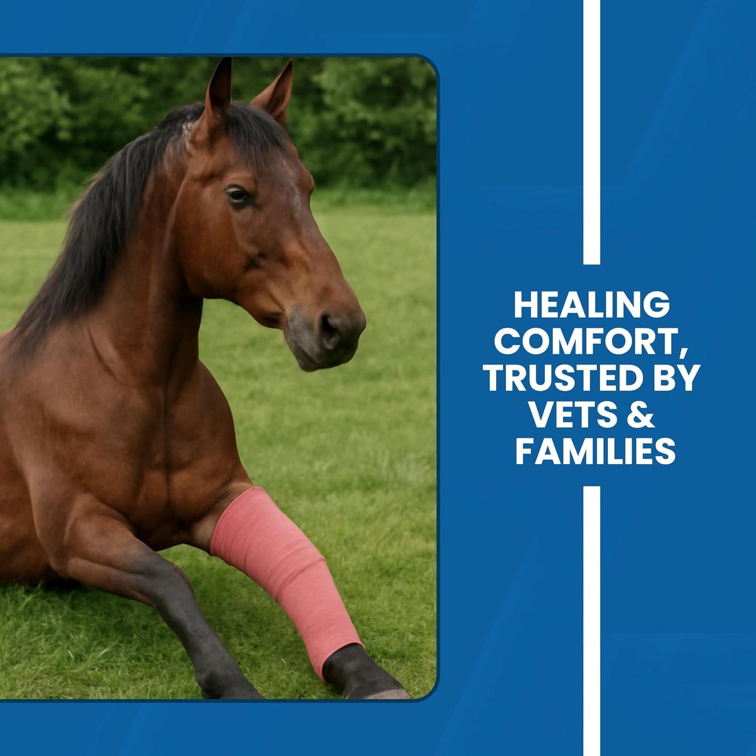 Gasa Adherente JorVet 100% Algodón 12 Rollos 7.6 cm x 4.57 m