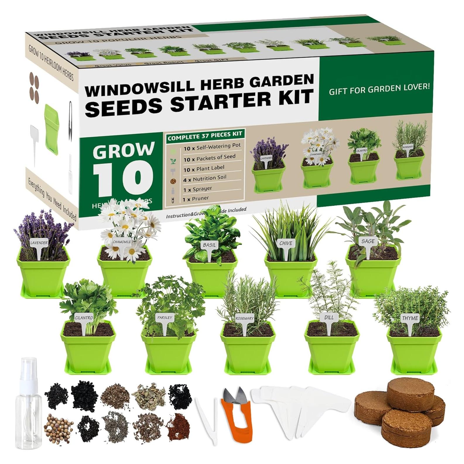 Kit de Jardín de 10 Semillas de Hierbas Meekear Verde