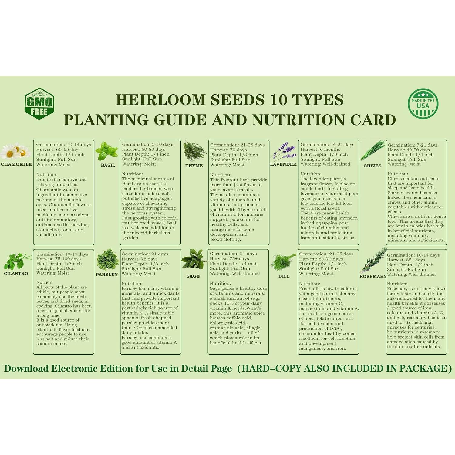 Kit de Jardín de 10 Semillas de Hierbas Meekear Verde