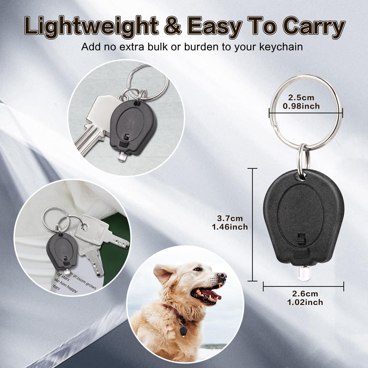 Paquete de 6 Linternas UV LED RaySoar 395nm Llave Prácticas