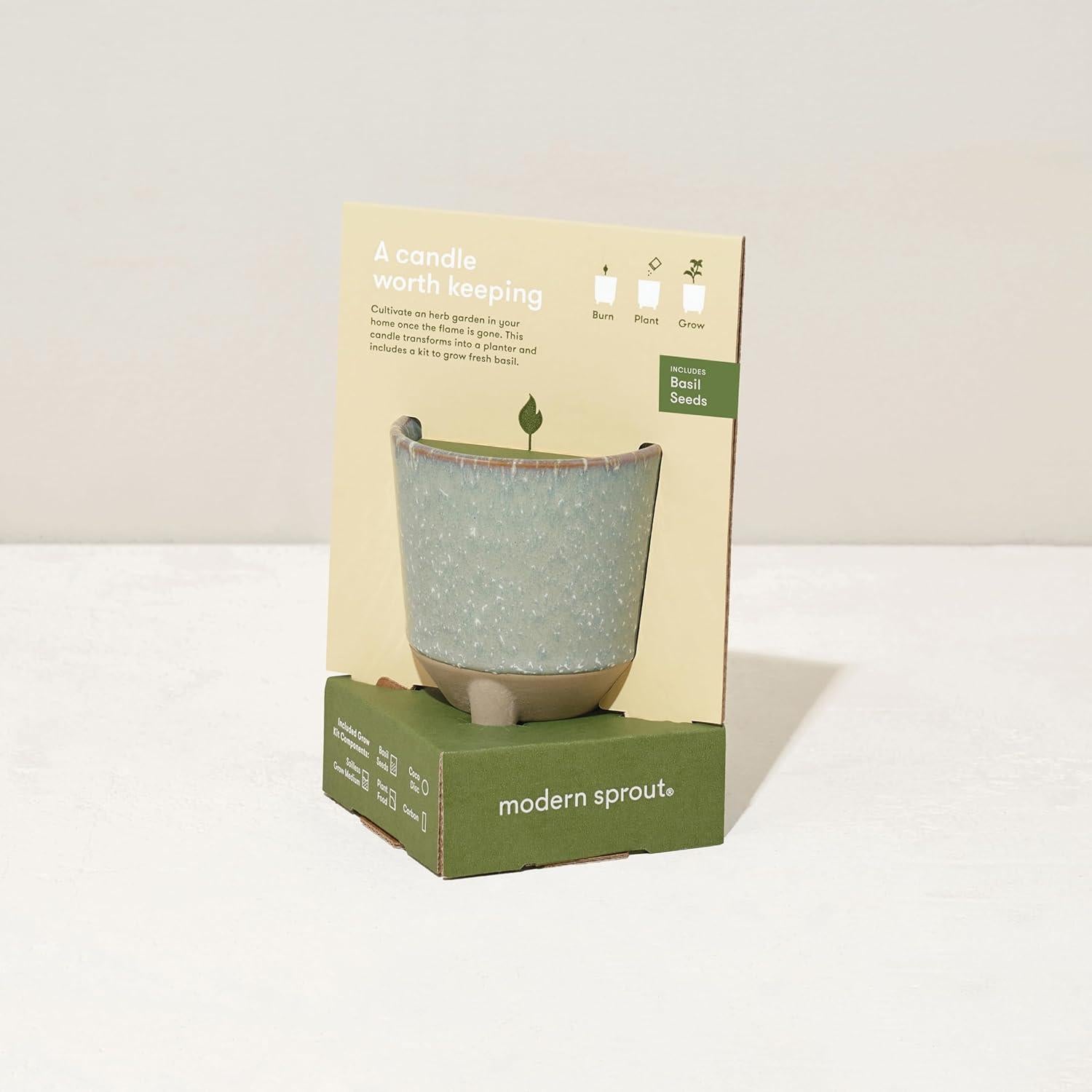 Vela de Jardín Glow and Grow Modern Sprout + Kit Albahaca