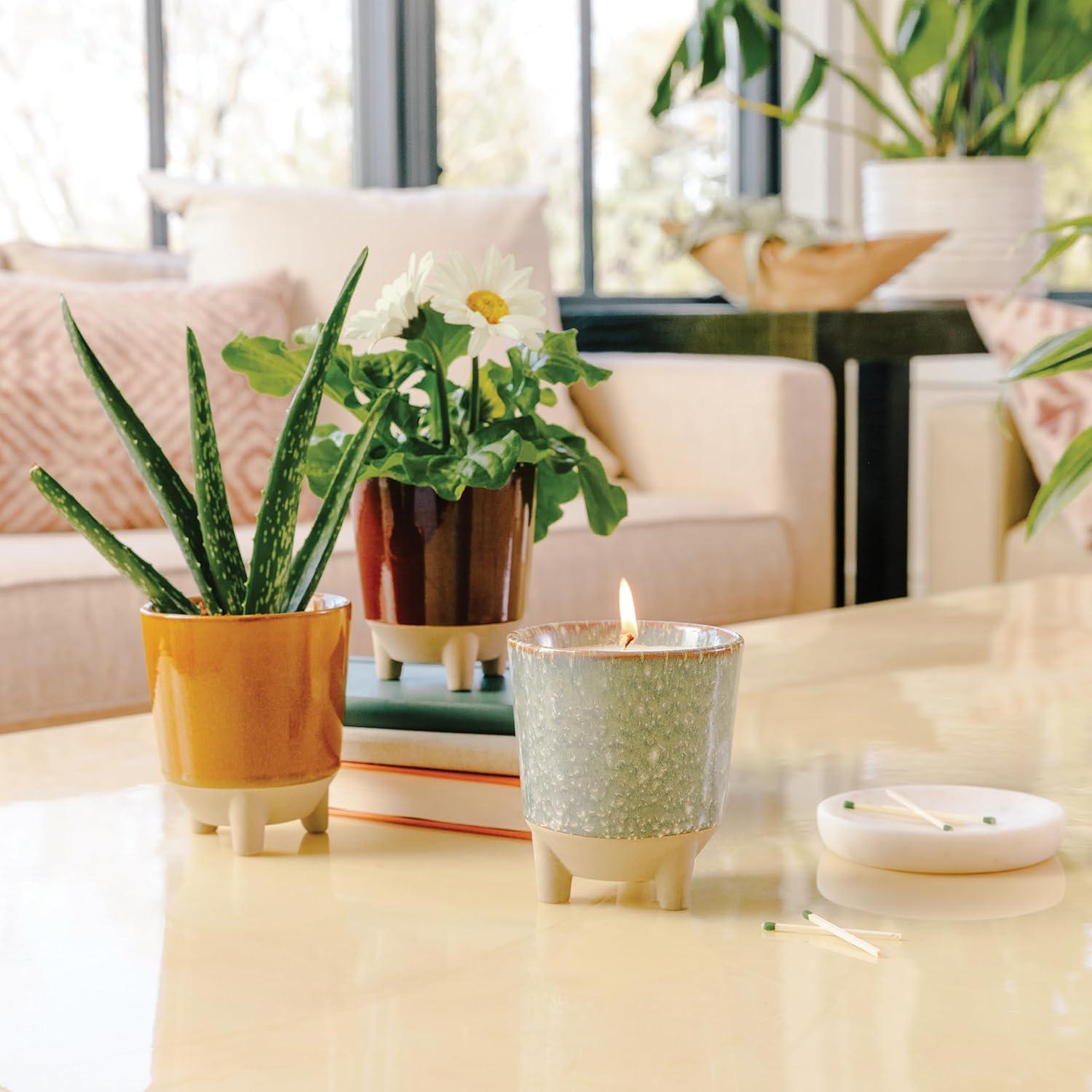 Vela de Jardín Glow and Grow Modern Sprout + Kit Albahaca