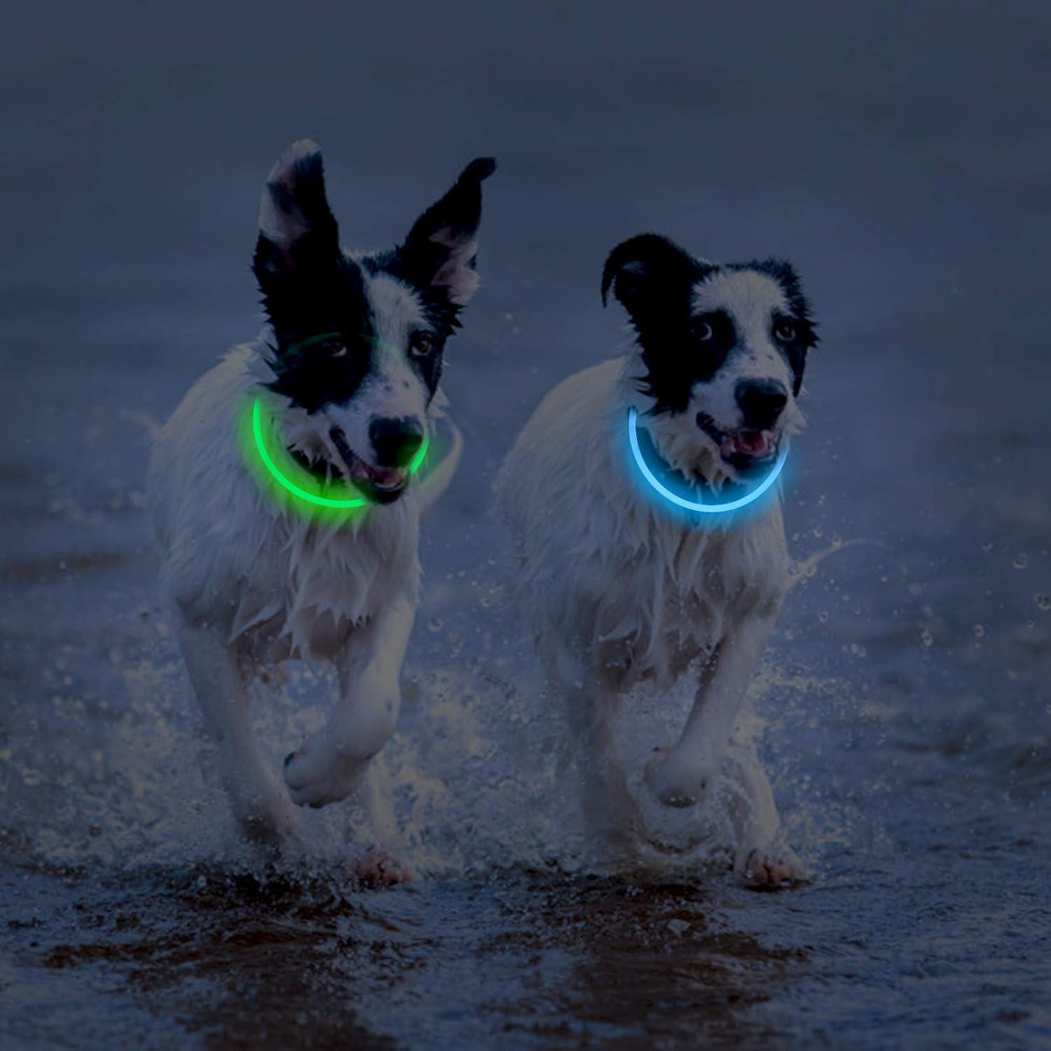 Collar LED para Perros Novkin Verde y Azul 2 Paquetes