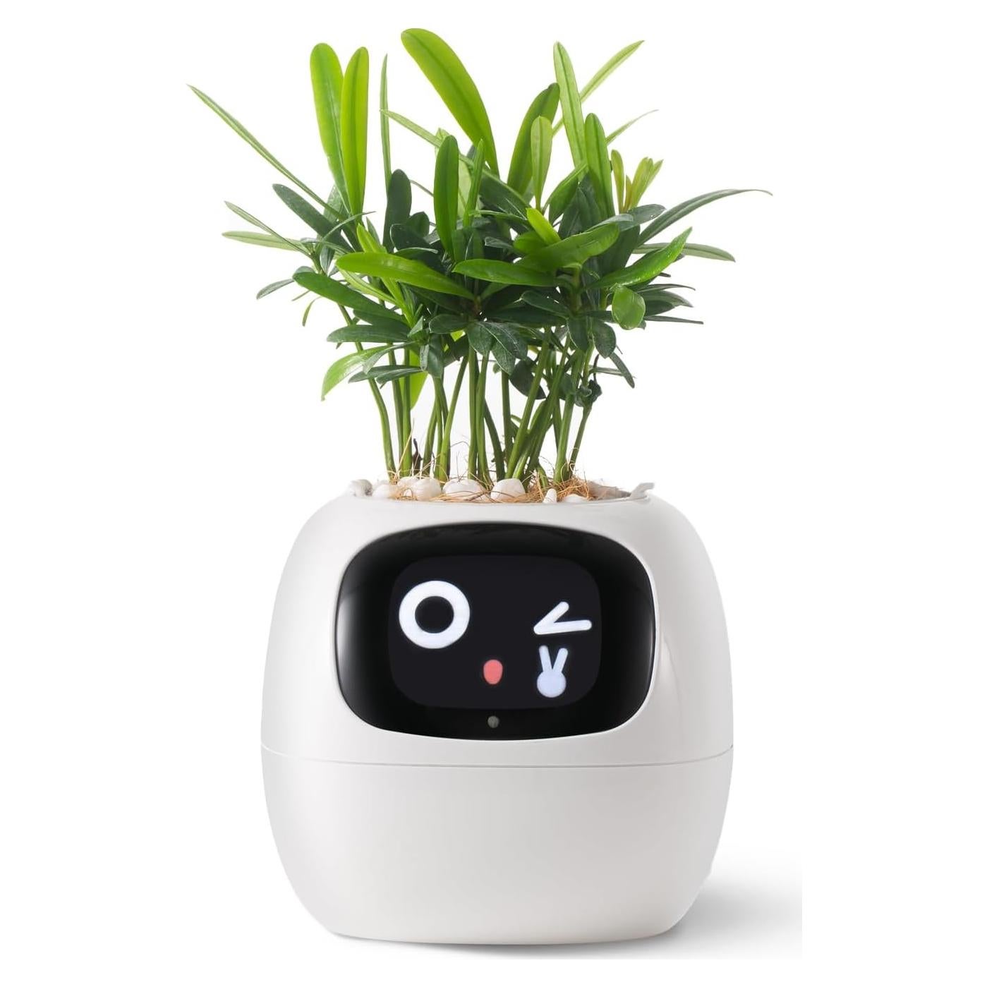 Maceta Inteligente PLANTSIO Ivy con Riego Automático Blanco