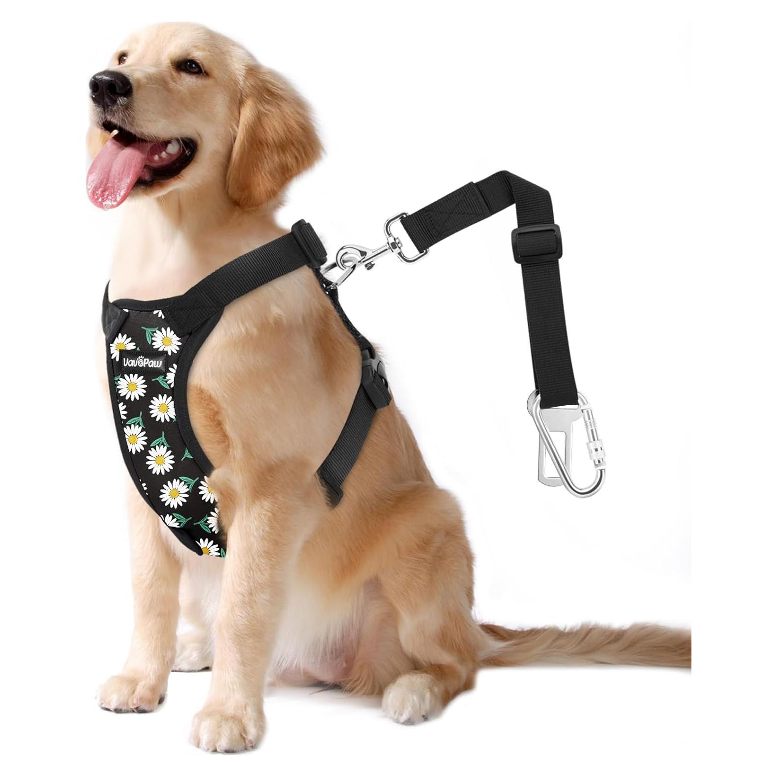 Cinturón de Seguridad para Perros VavoPaw L Margarita Negra