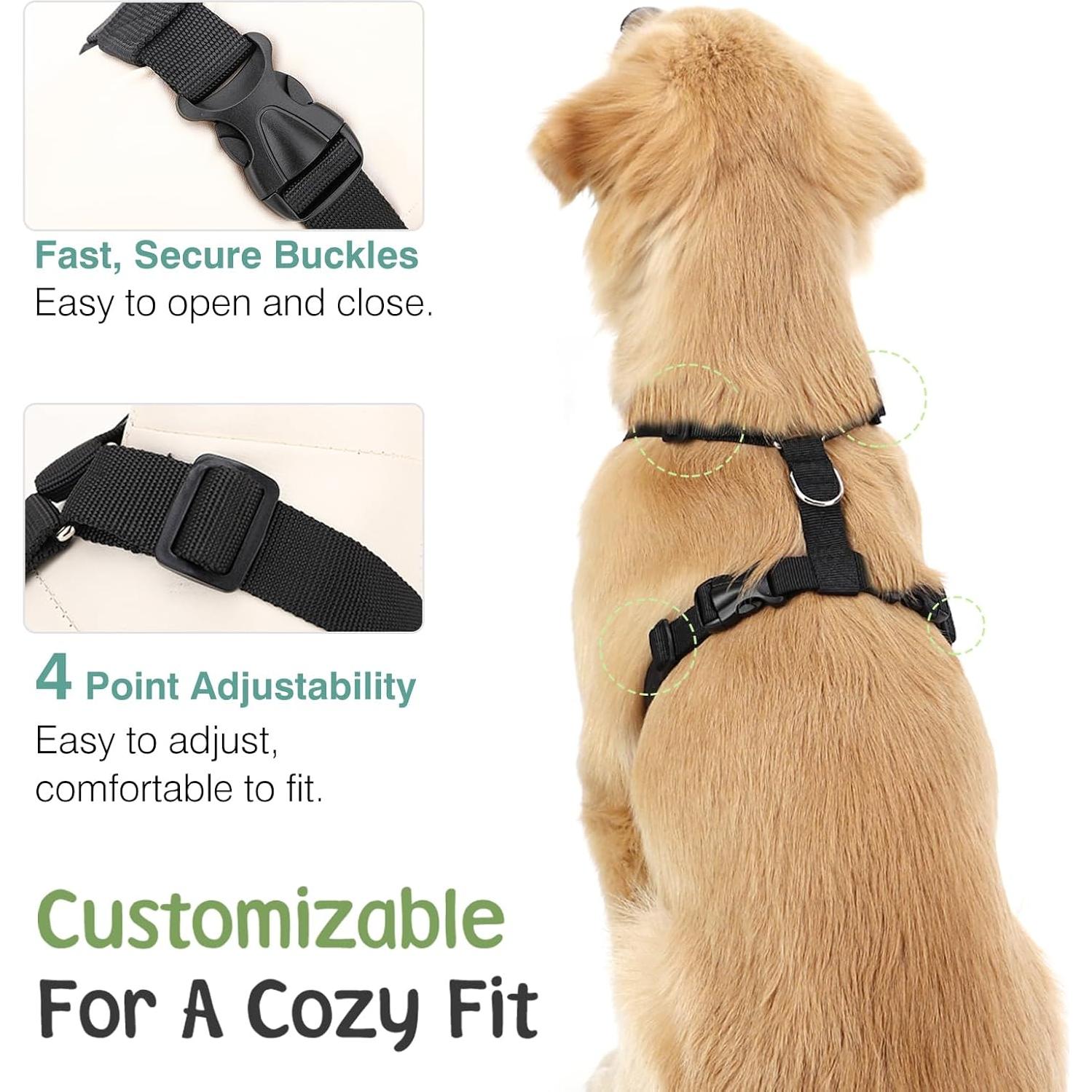 Cinturón de Seguridad para Perros VavoPaw L Margarita Negra