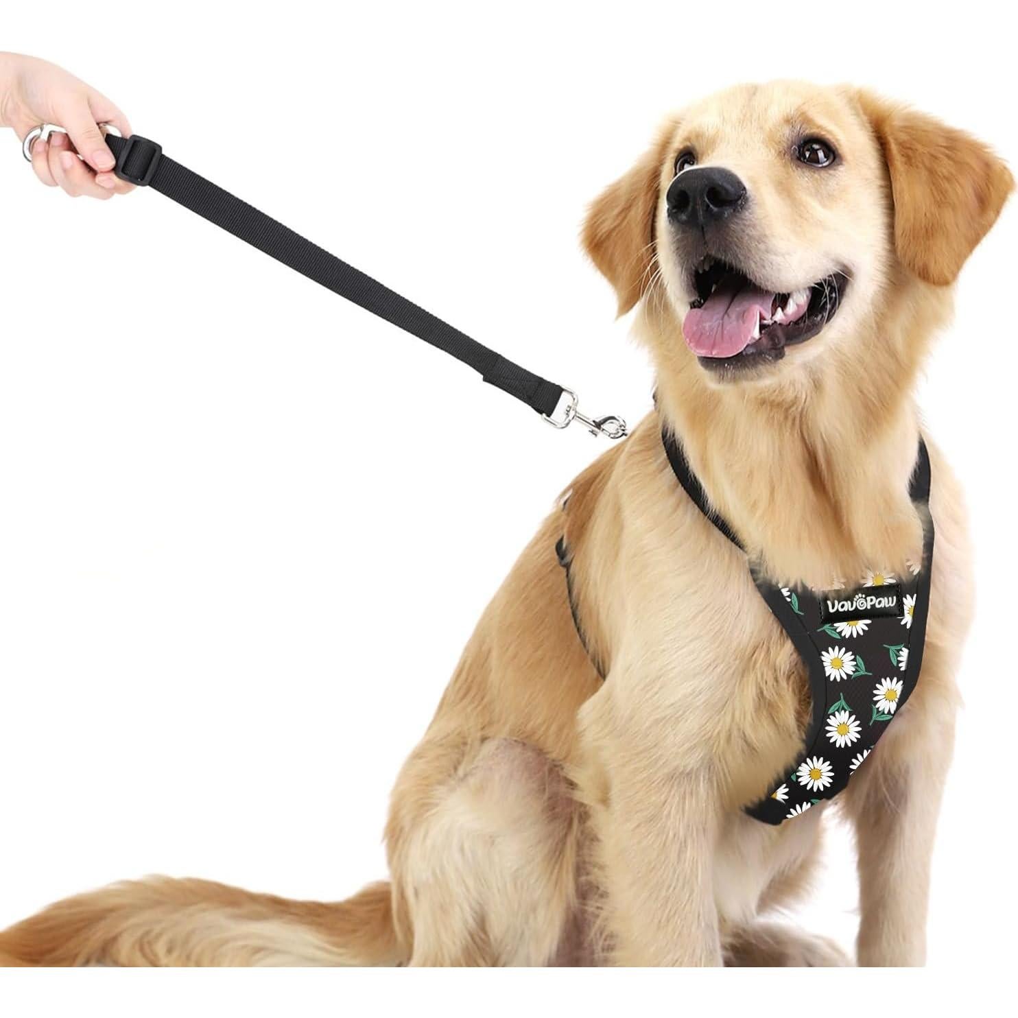 Cinturón de Seguridad para Perros VavoPaw L Margarita Negra