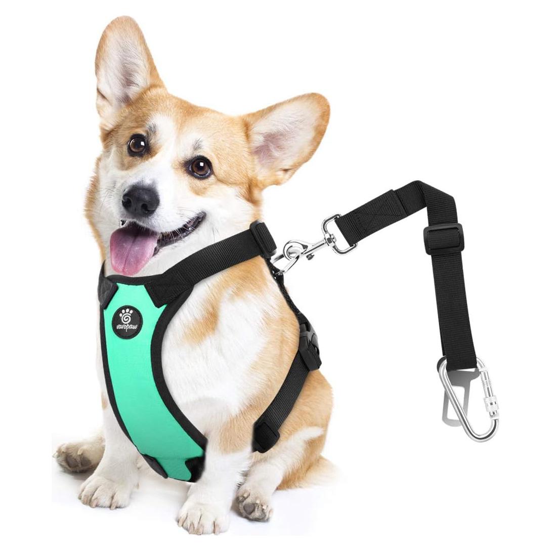 Cinturón de Seguridad para Perros VavoPaw S Azul Lago