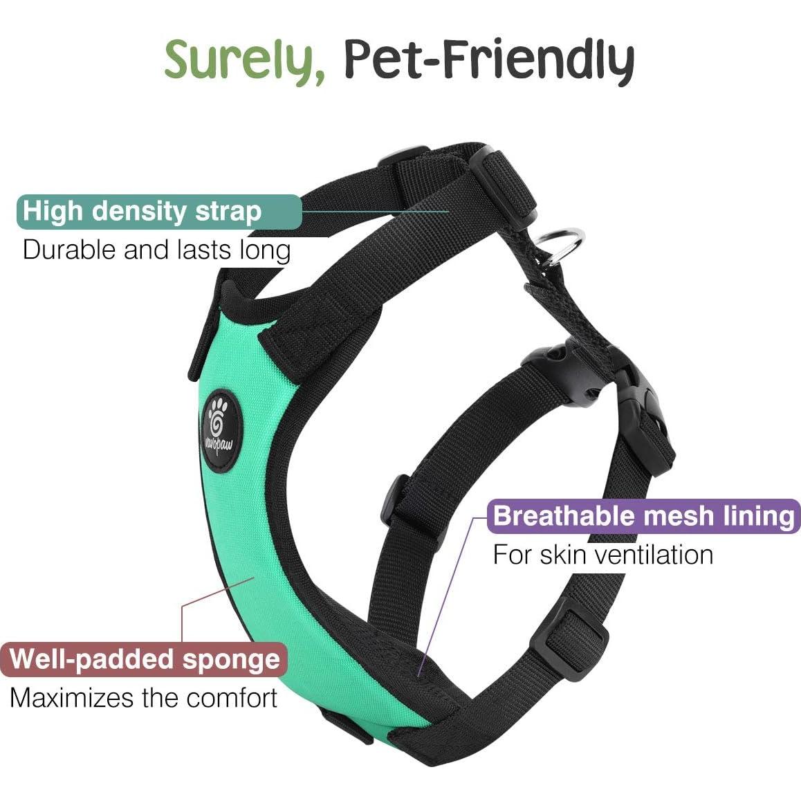 Cinturón de Seguridad para Perros VavoPaw S Azul Lago