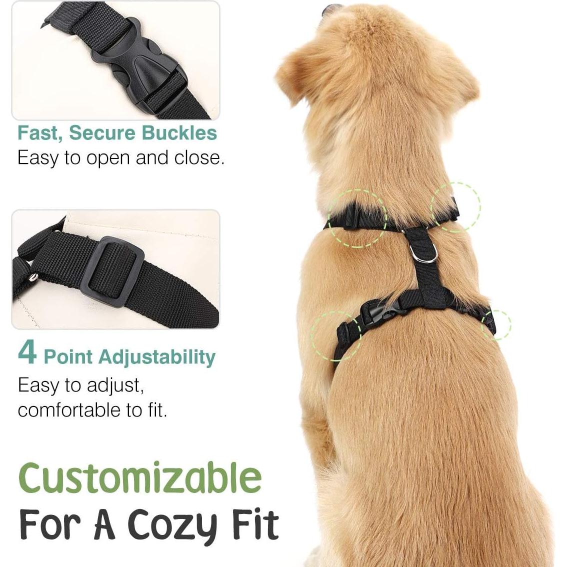 Cinturón de Seguridad para Perros VavoPaw S Azul Lago