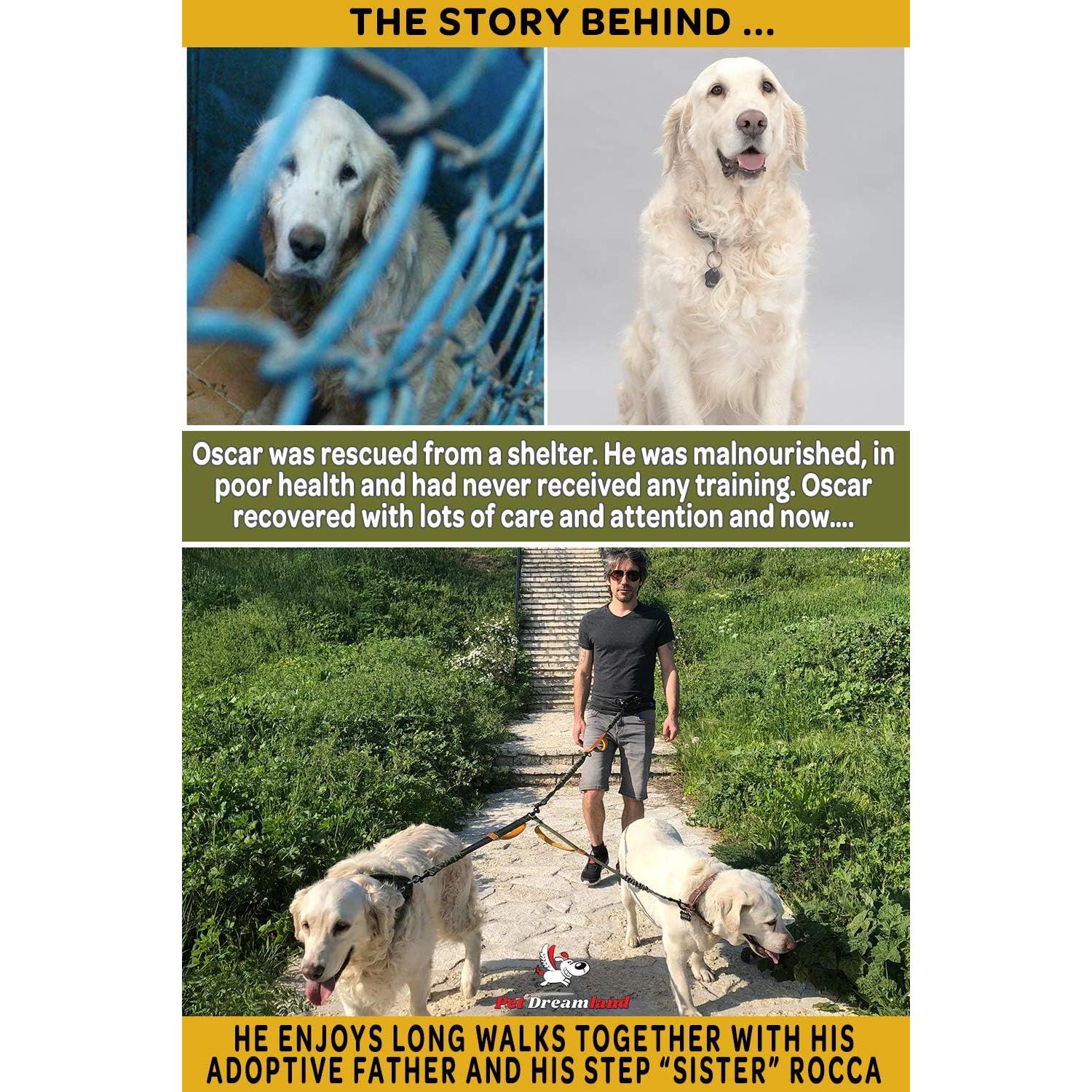 Acoplador de Correa Doble Pet Dreamland para Perros Medianos