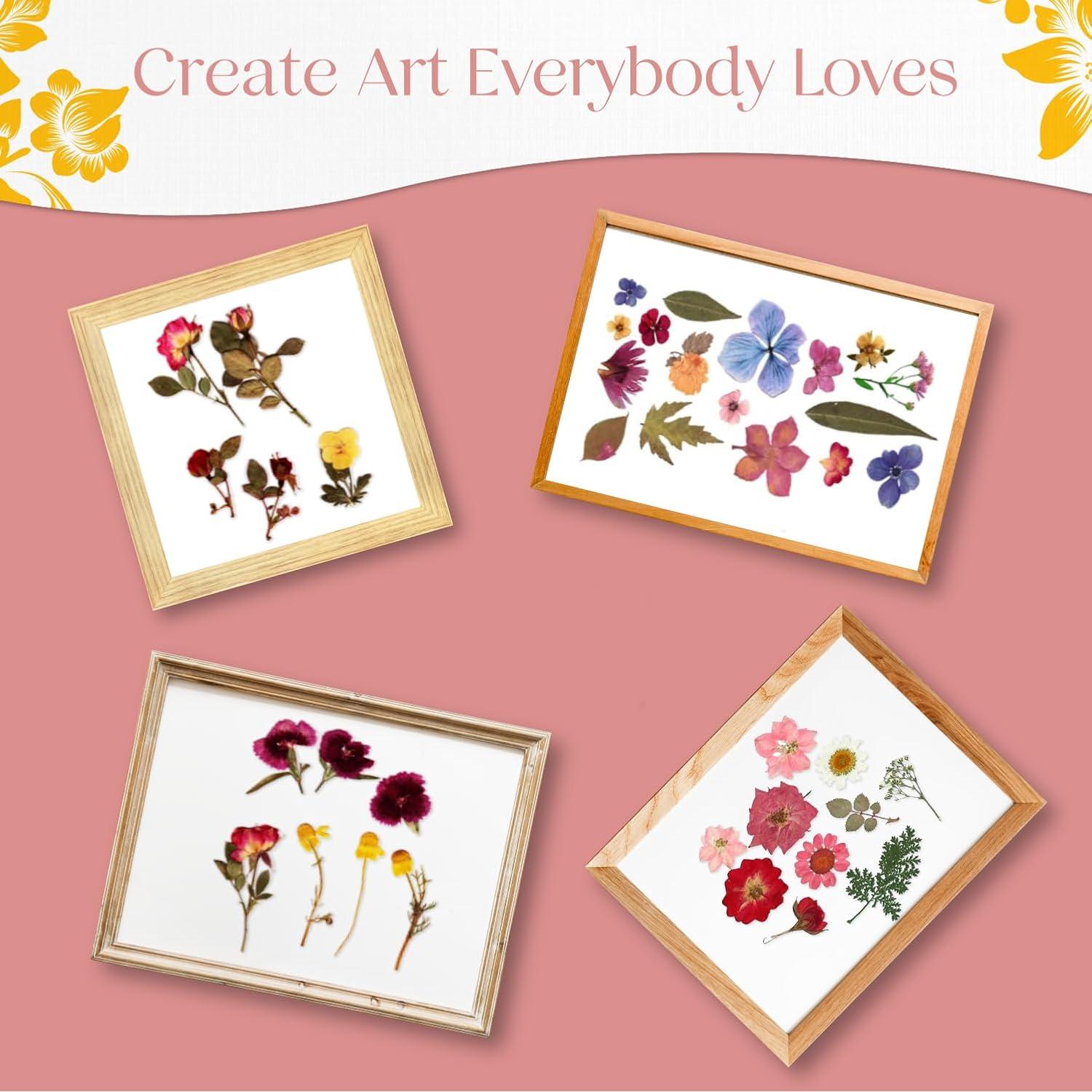 Papel Absorbente XL Berstuk 15 Hojas 37.5 x 28.5 cm