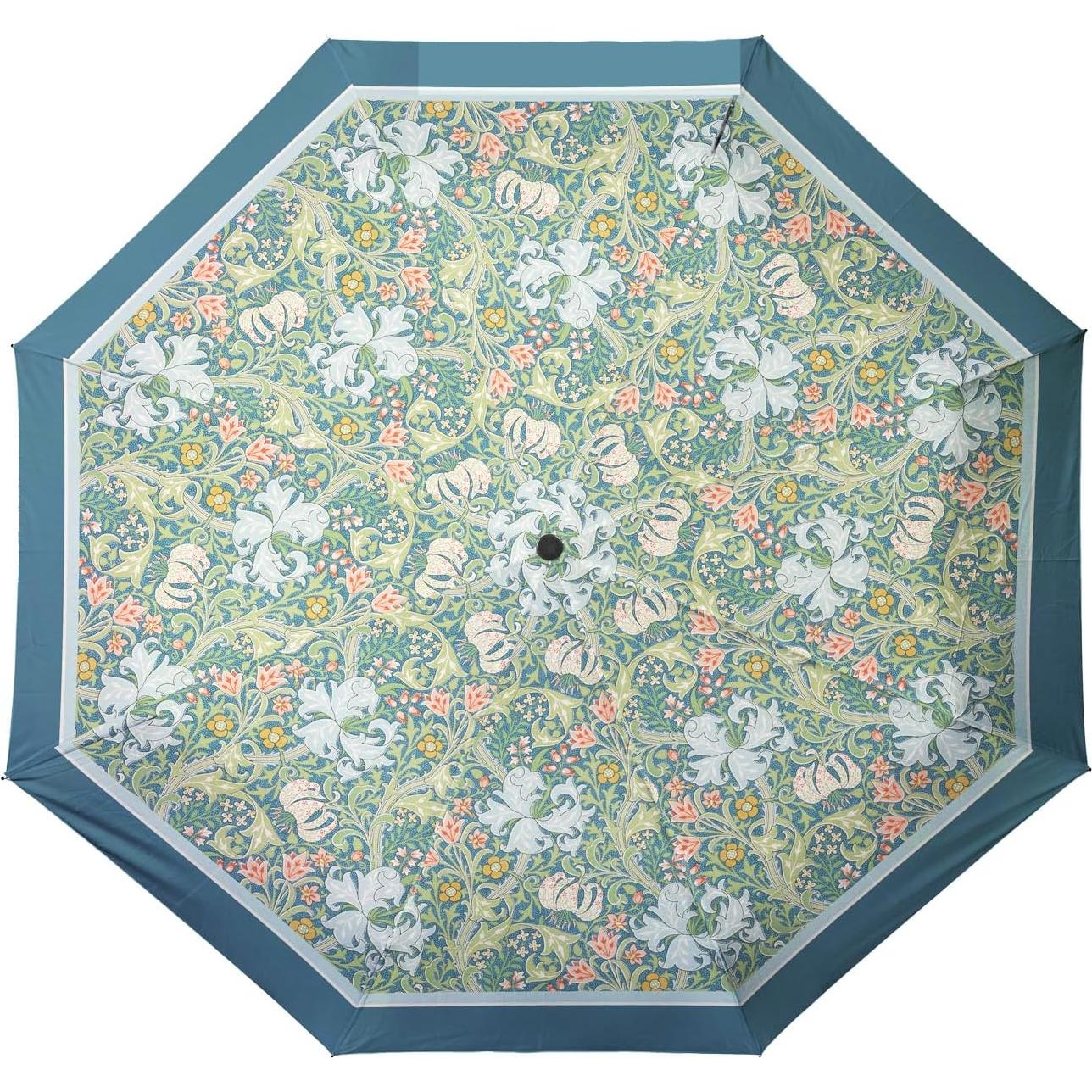 Sombrilla Plegable RainCaper Lirio Dorado 109 cm Automática