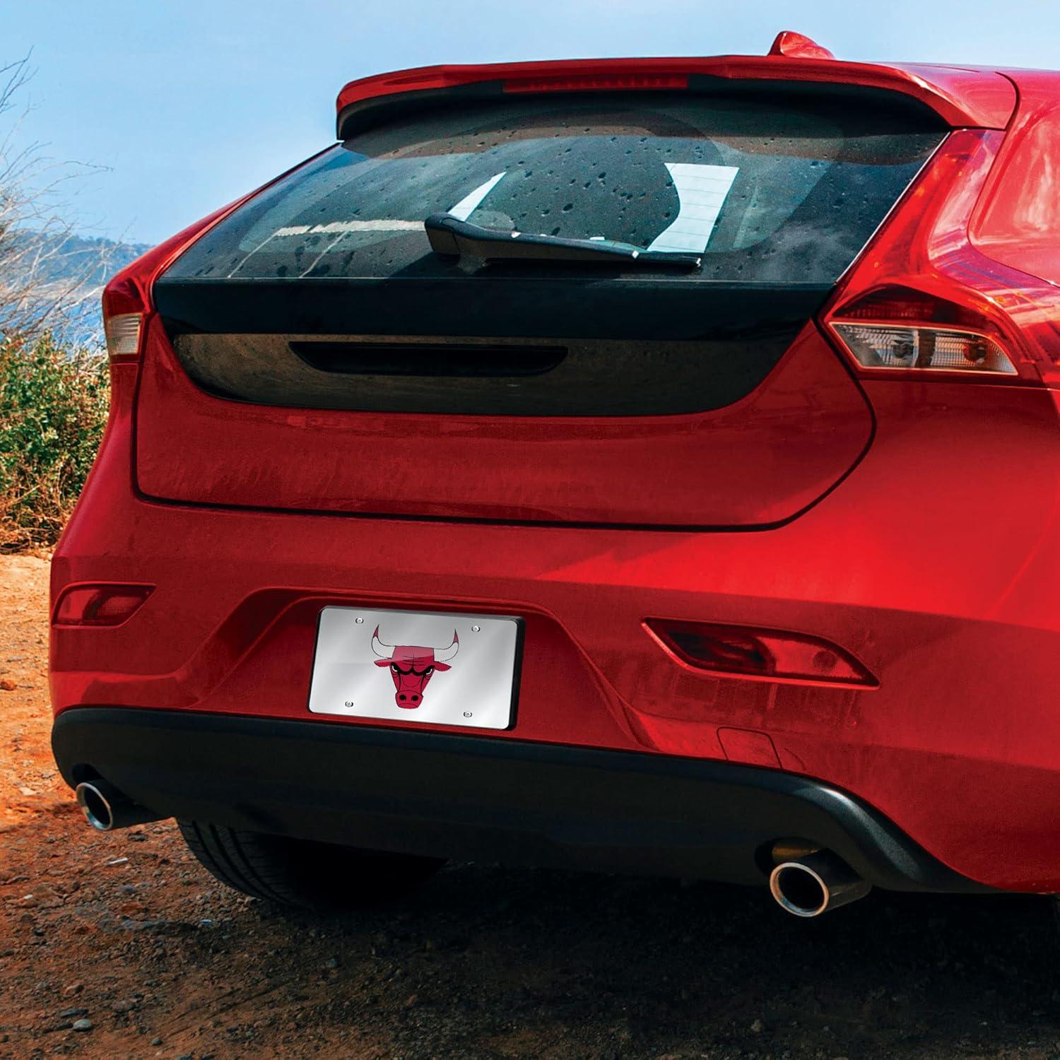 Placa de Licencia Metalica Rico Bulls 15x30 cm Cortada Laser