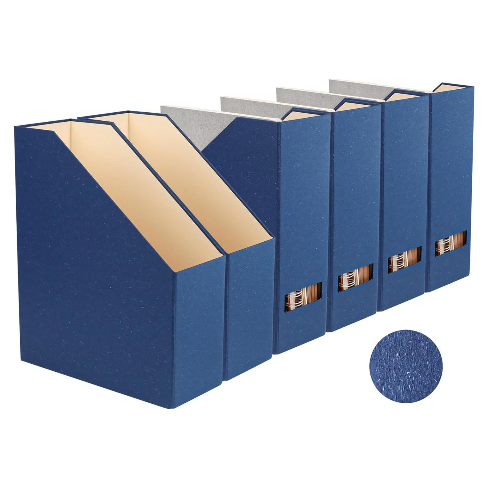 Soporte de Revistas LifeSto Azul Clásico Paquete de 6