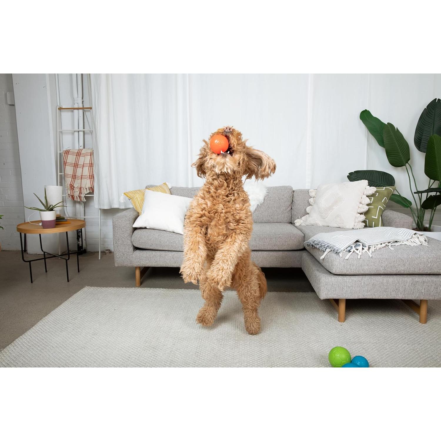 Pelota Jolly Pets Mini Soccer Azul Oceánico 7,62 cm Flotante