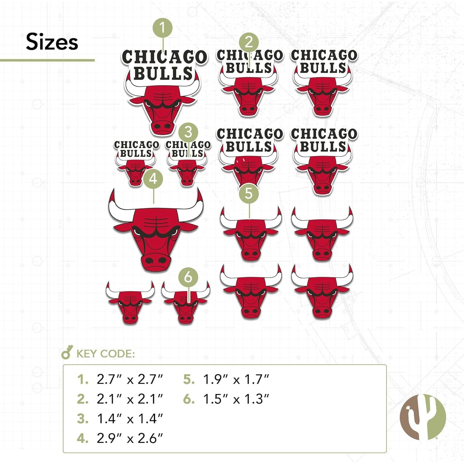 Calcomanía Chicago Bulls Desert Cactus Vinilo Adhesivo 27.9x21.6cm