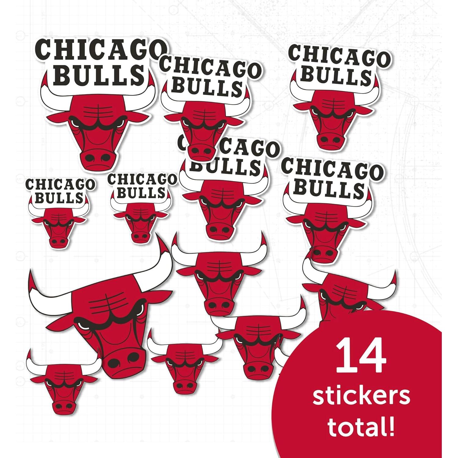 Calcomanía Chicago Bulls Desert Cactus Vinilo Adhesivo 27.9x21.6cm