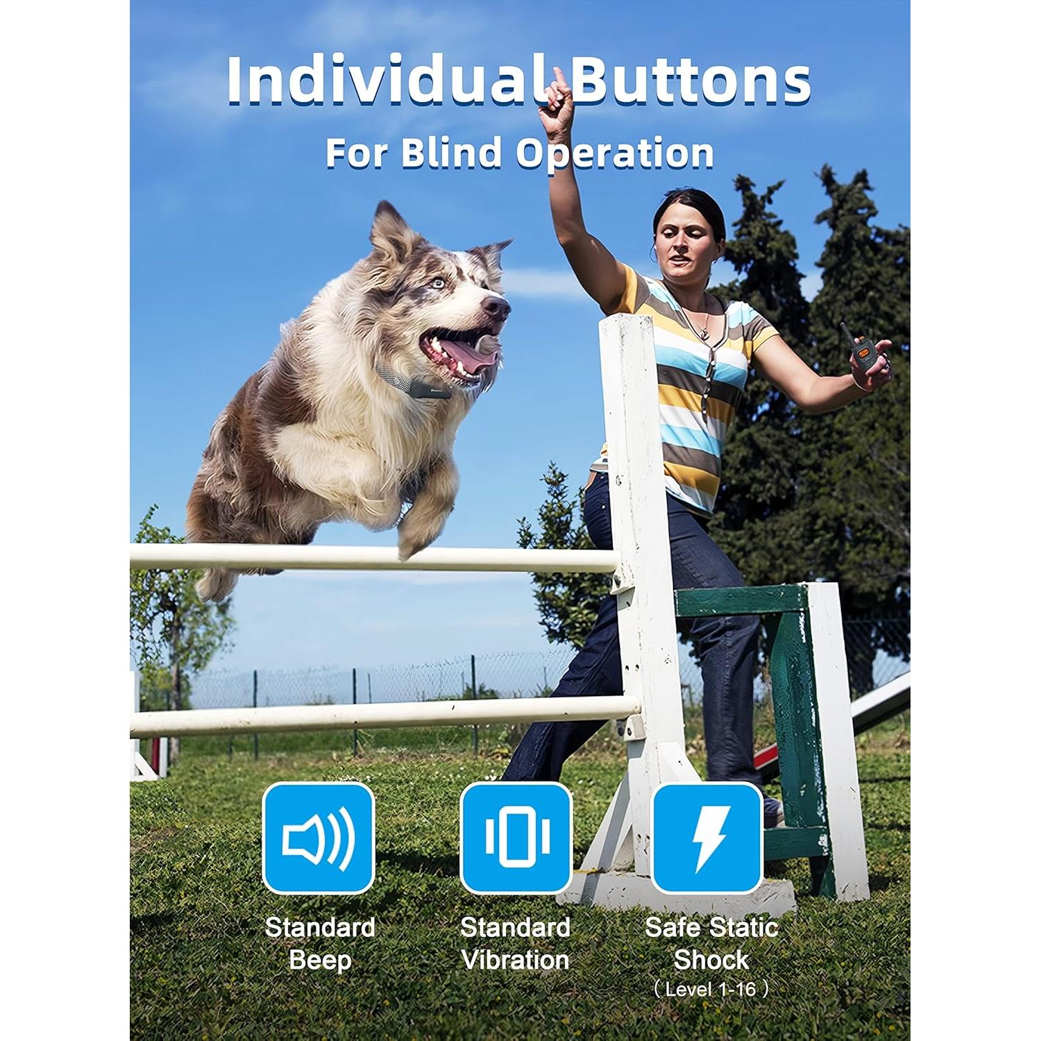 Collar de Entrenamiento Bousnic para Perros con Control Remoto