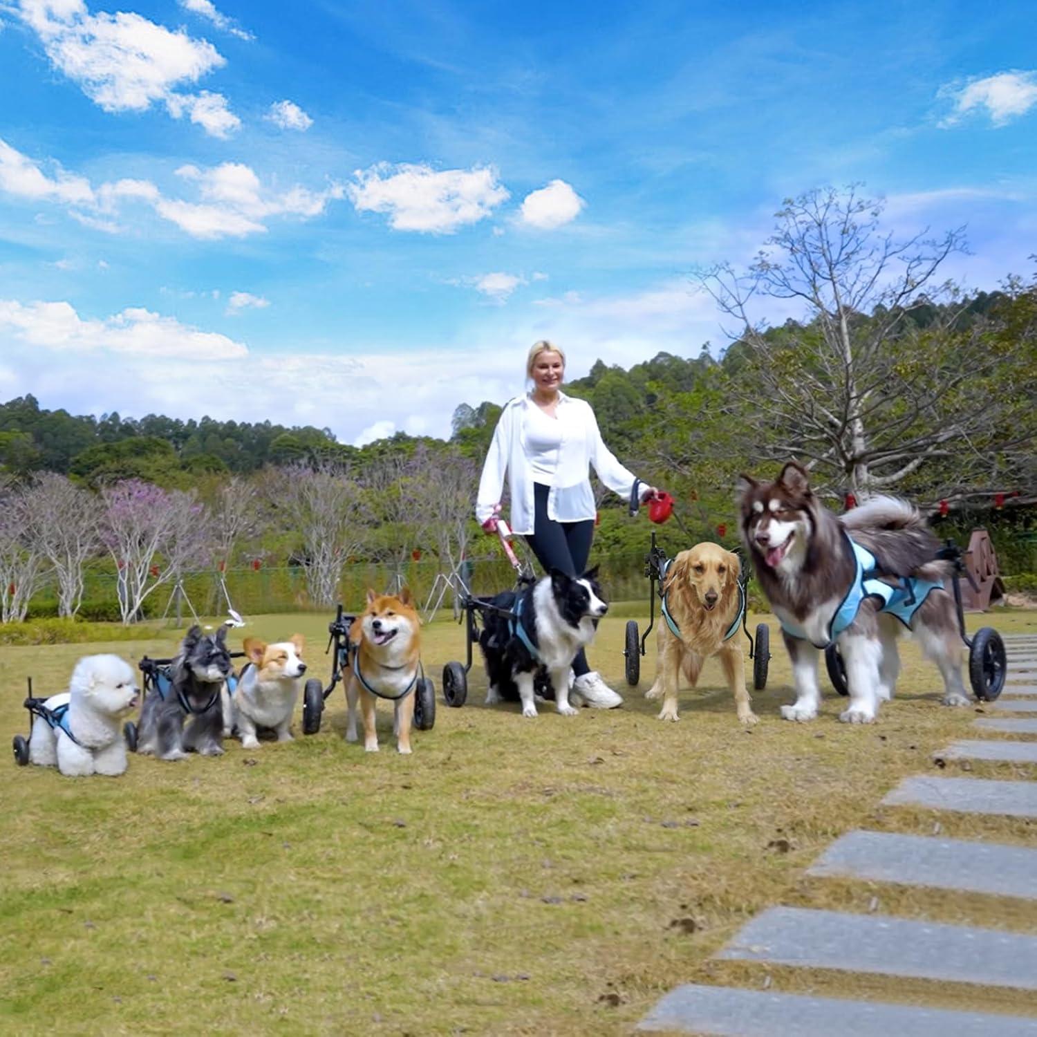 Silla de Ruedas para Perros Pequeños Celestaura Ajustable