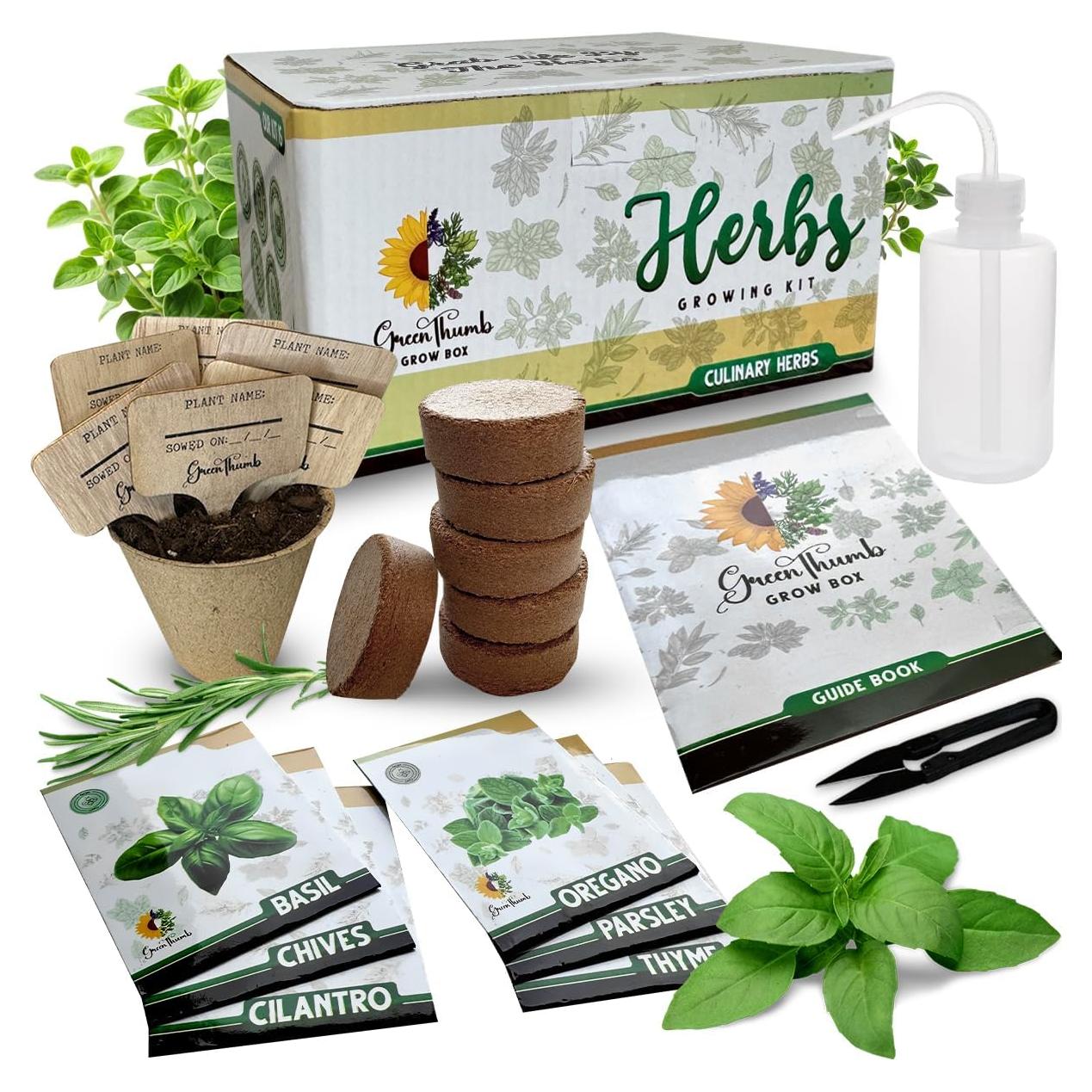 Kit de Jardín de Hierbas Green Thumb 6 Semillas y Macetas