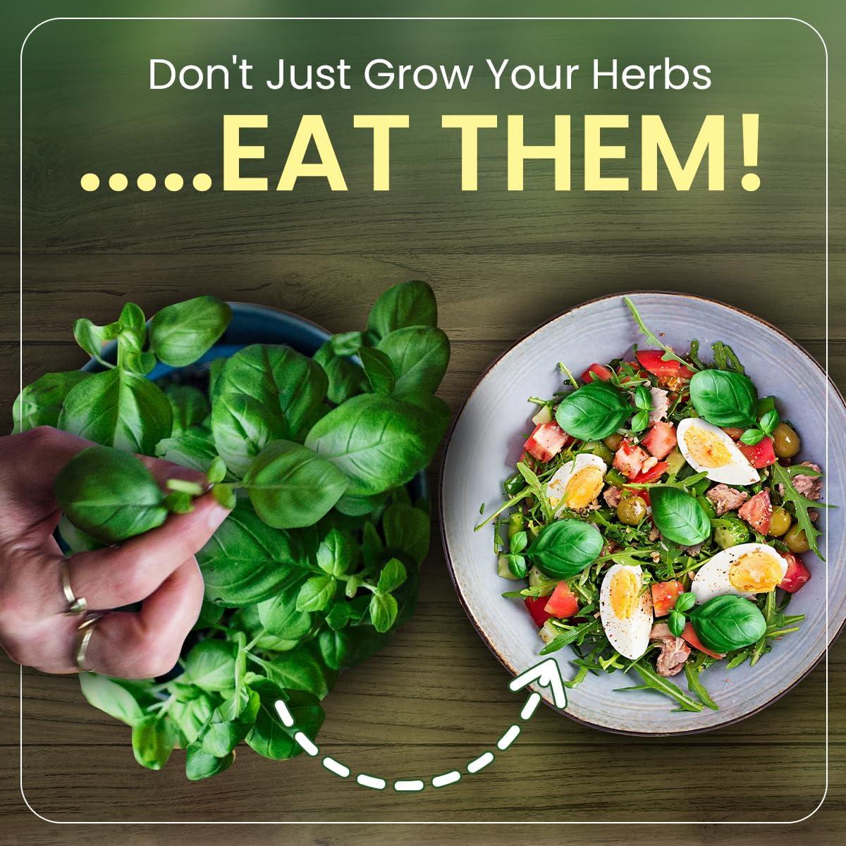 Kit de Jardín de Hierbas Green Thumb 6 Semillas y Macetas