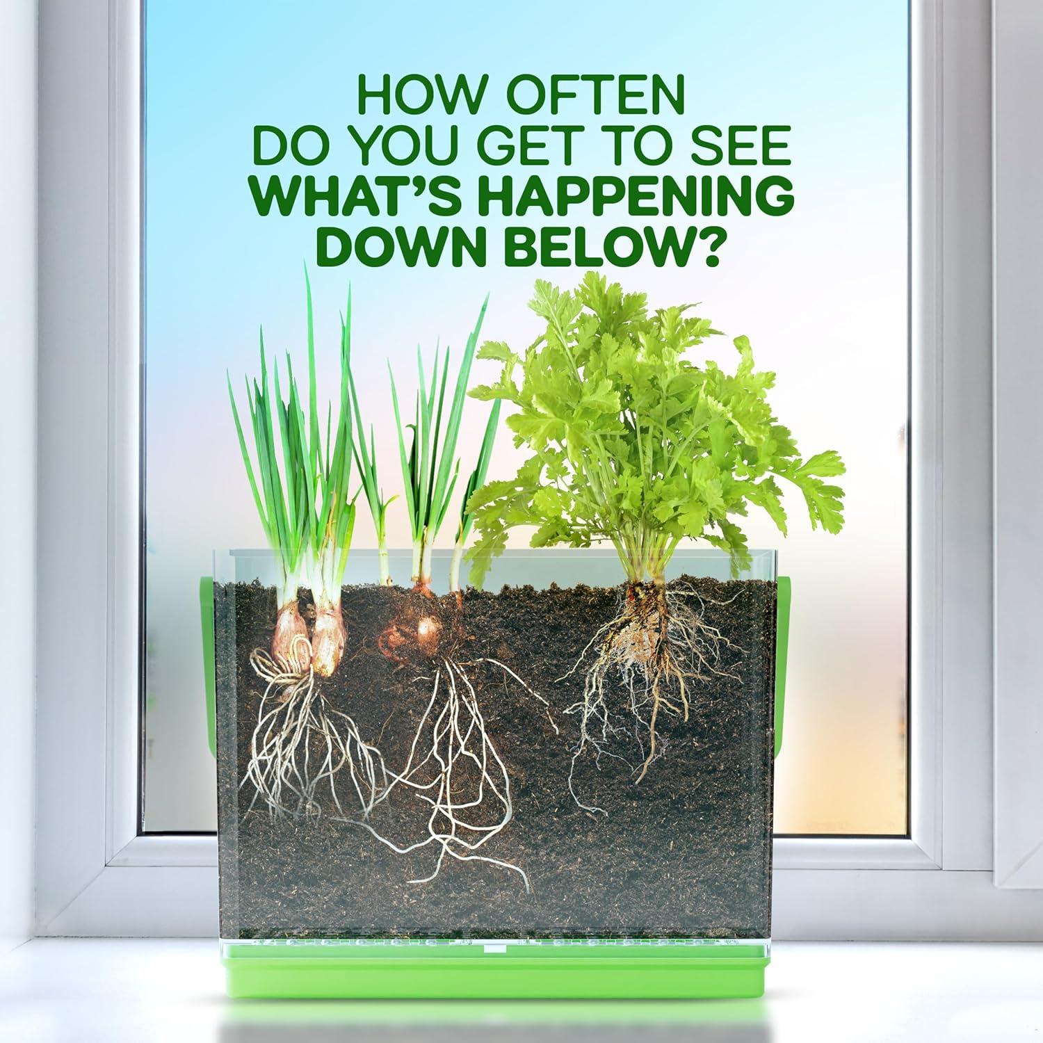 Kit de Jardinería Educativo Dan&Darci para Niños 4-8 Años