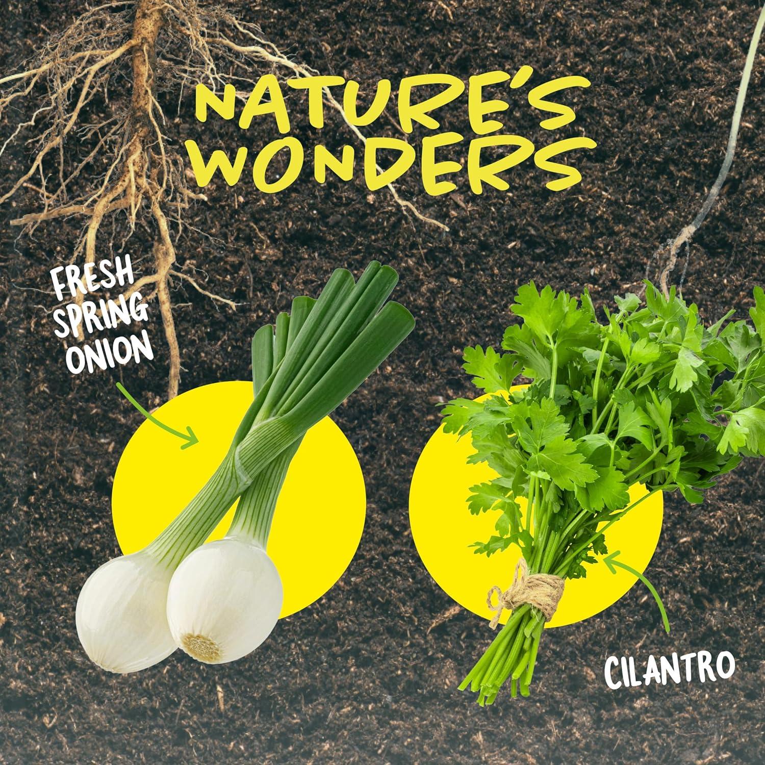 Kit de Jardinería Educativo Dan&Darci para Niños 4-8 Años