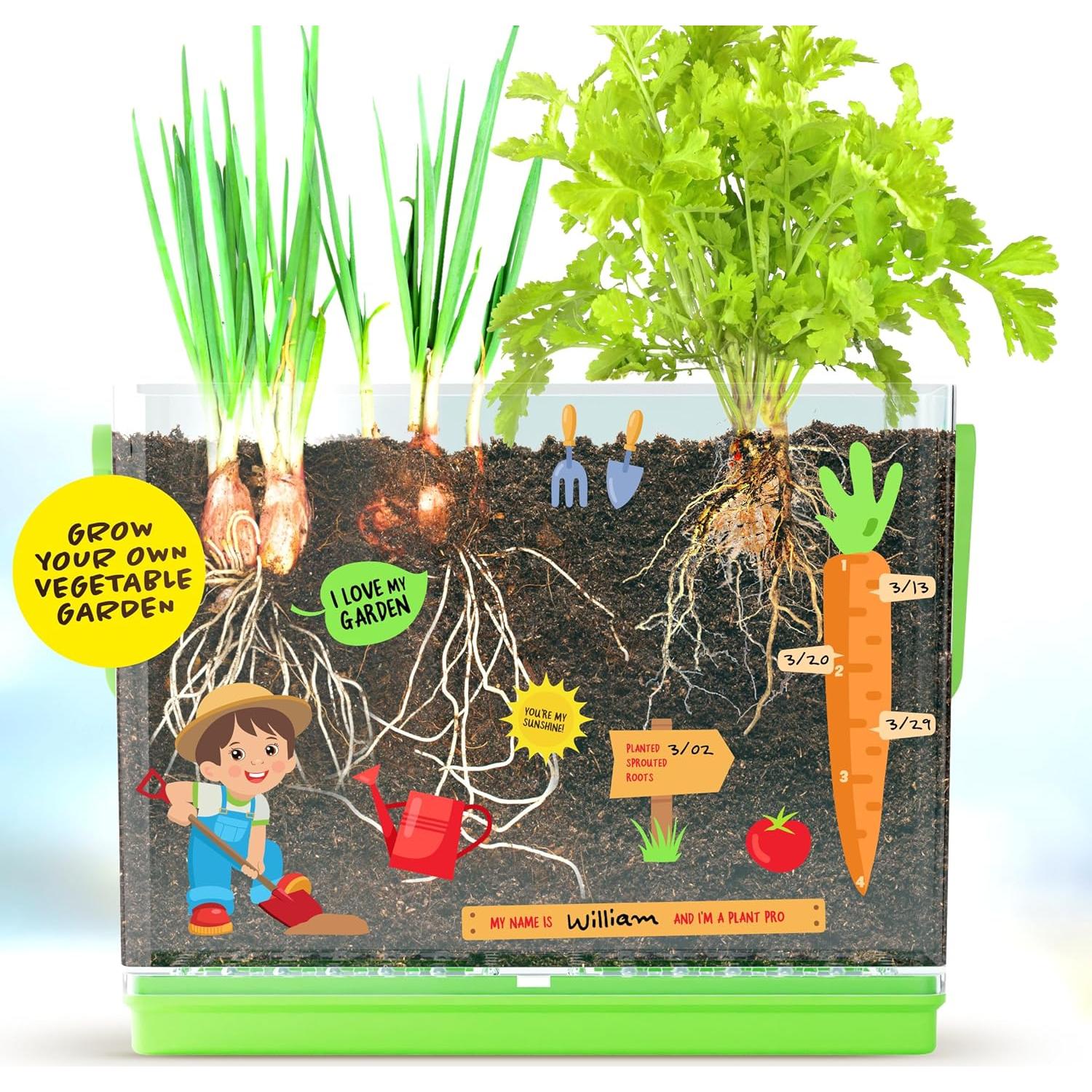 Kit de Jardinería Educativo Dan&Darci para Niños 4-8 Años