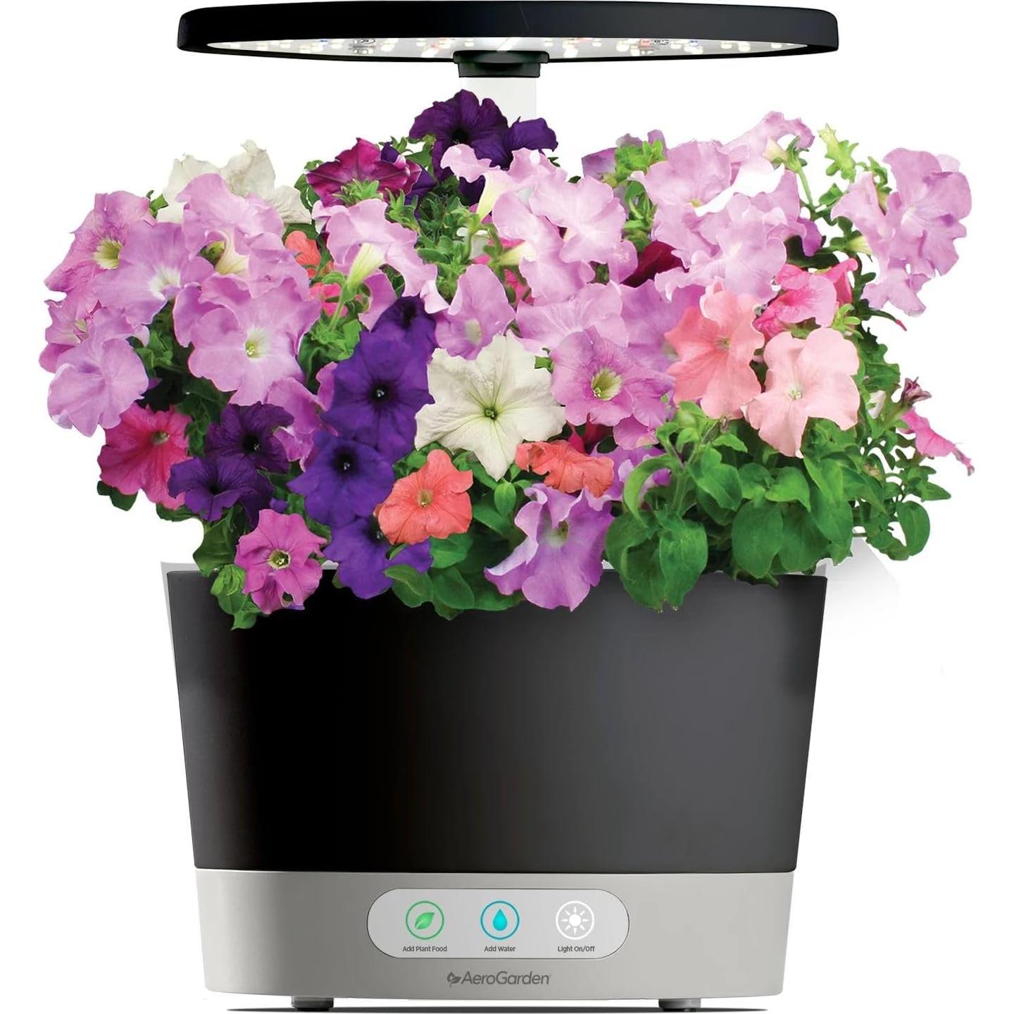 Kit de 6 cápsulas de semillas de Petunias en Cascada AeroGarden