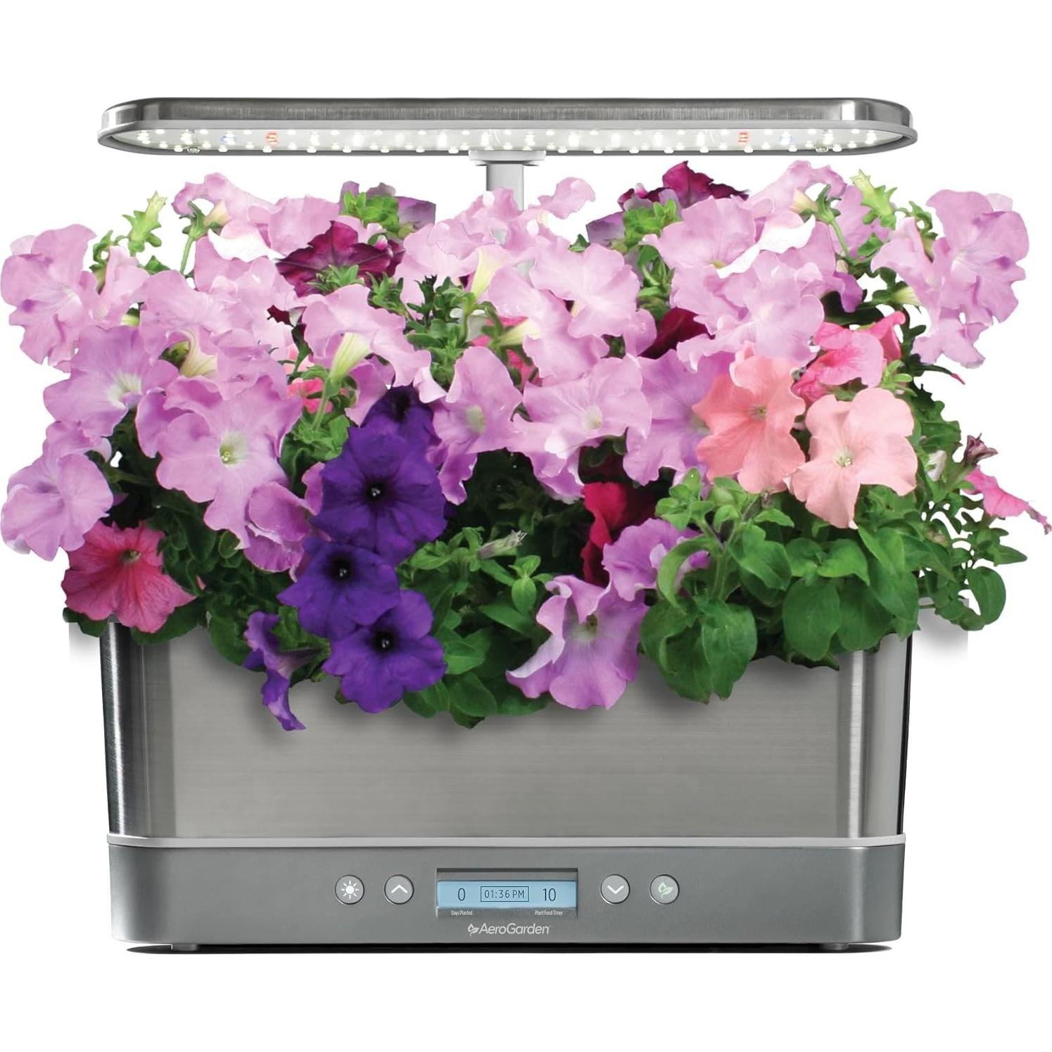 Kit de 6 cápsulas de semillas de Petunias en Cascada AeroGarden