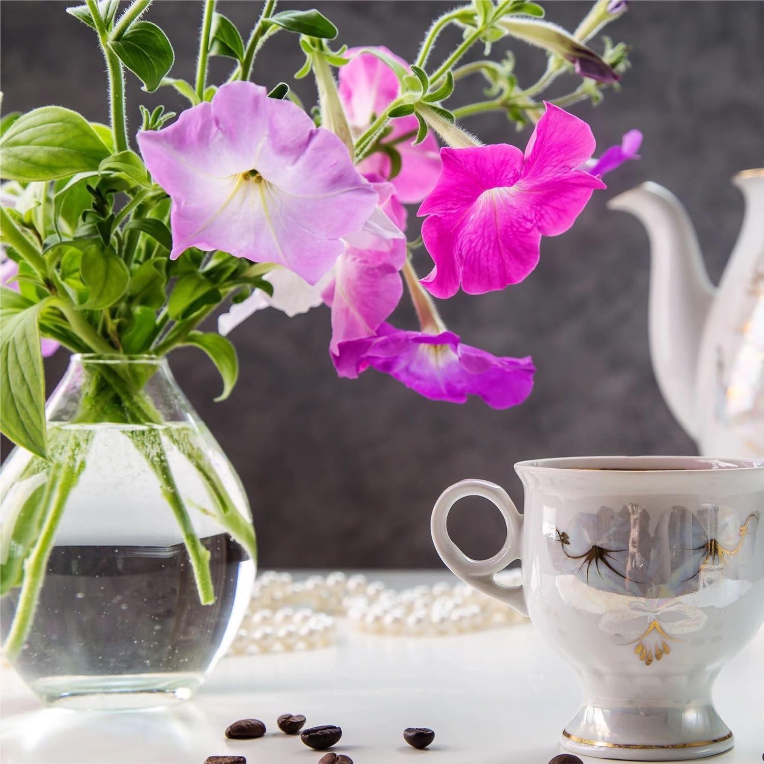 Kit de 6 cápsulas de semillas de Petunias en Cascada AeroGarden