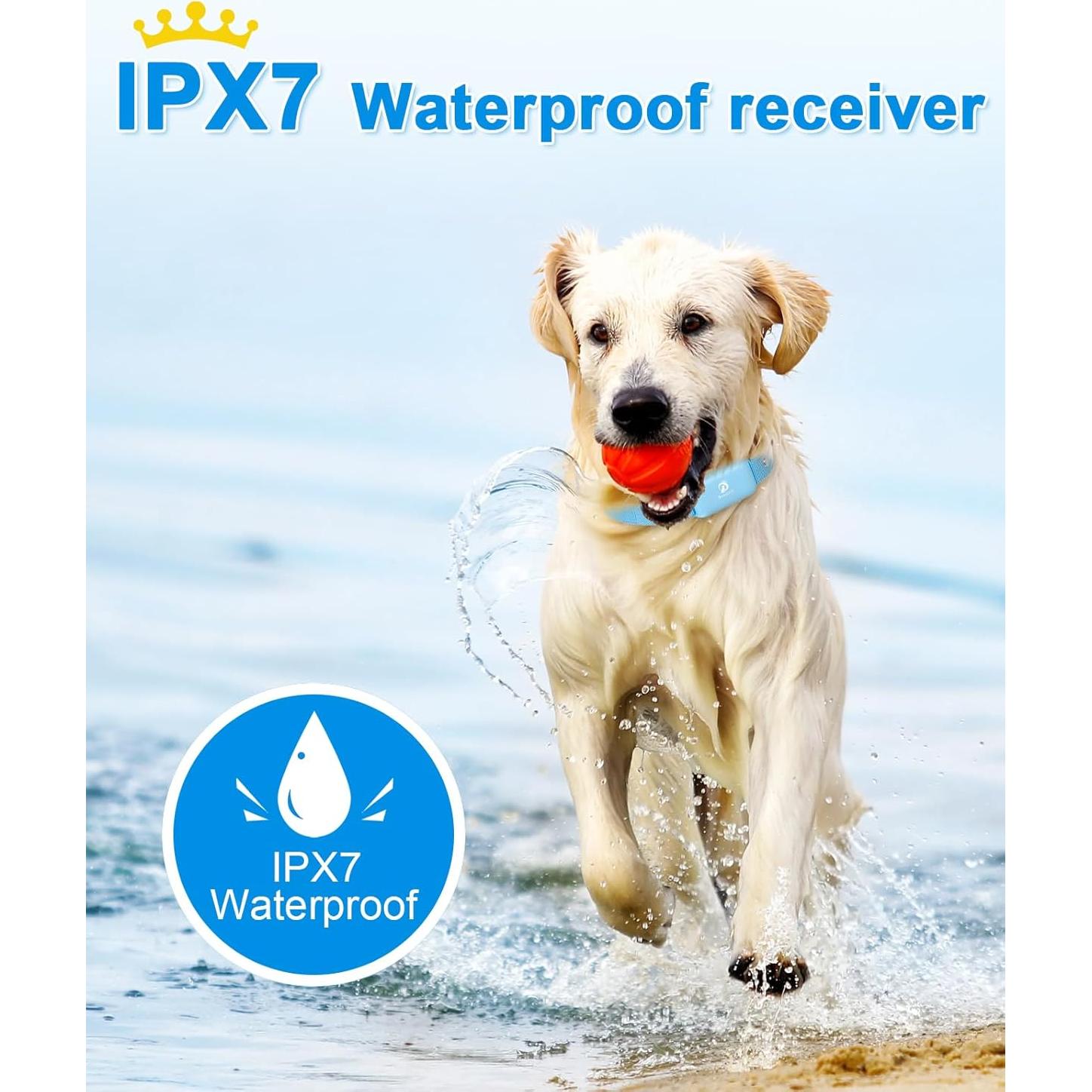 Collar de Choque Bousnic Recargable e Impermeable para Perros