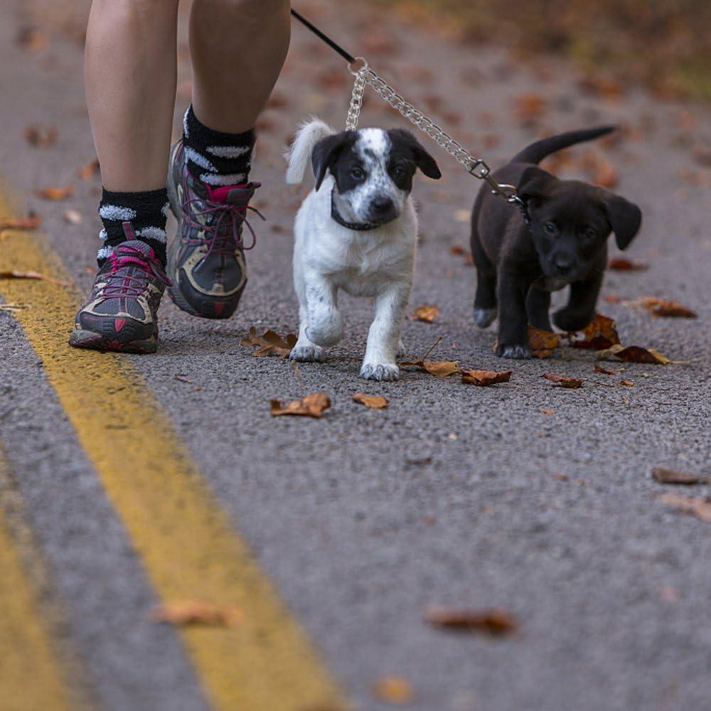 Correa Doble para Perros PETTOM XS 2.5mm 40cm Alta Resistencia