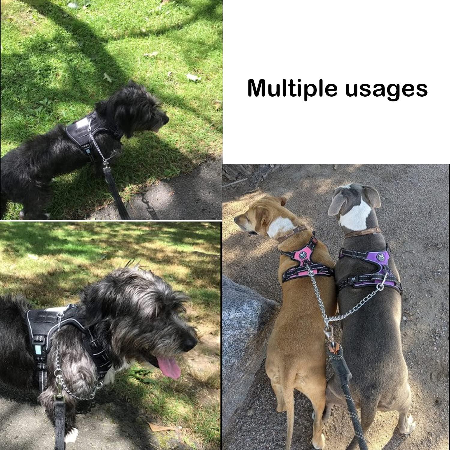 Correa Doble para Perros PETTOM XS 2.5mm 40cm Alta Resistencia