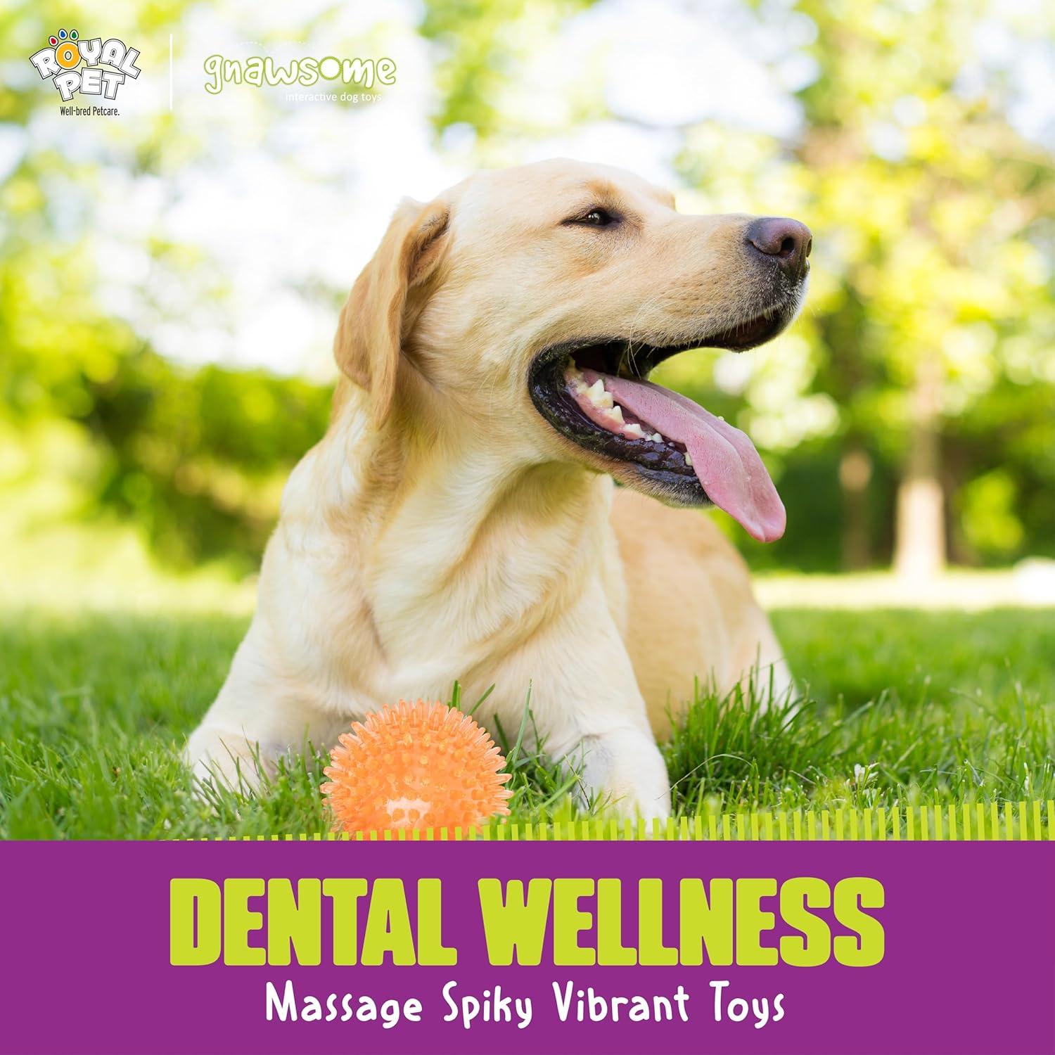 Pelota Squeaker Mediana Gnawsome Royal Pet 8.9 cm para Perros