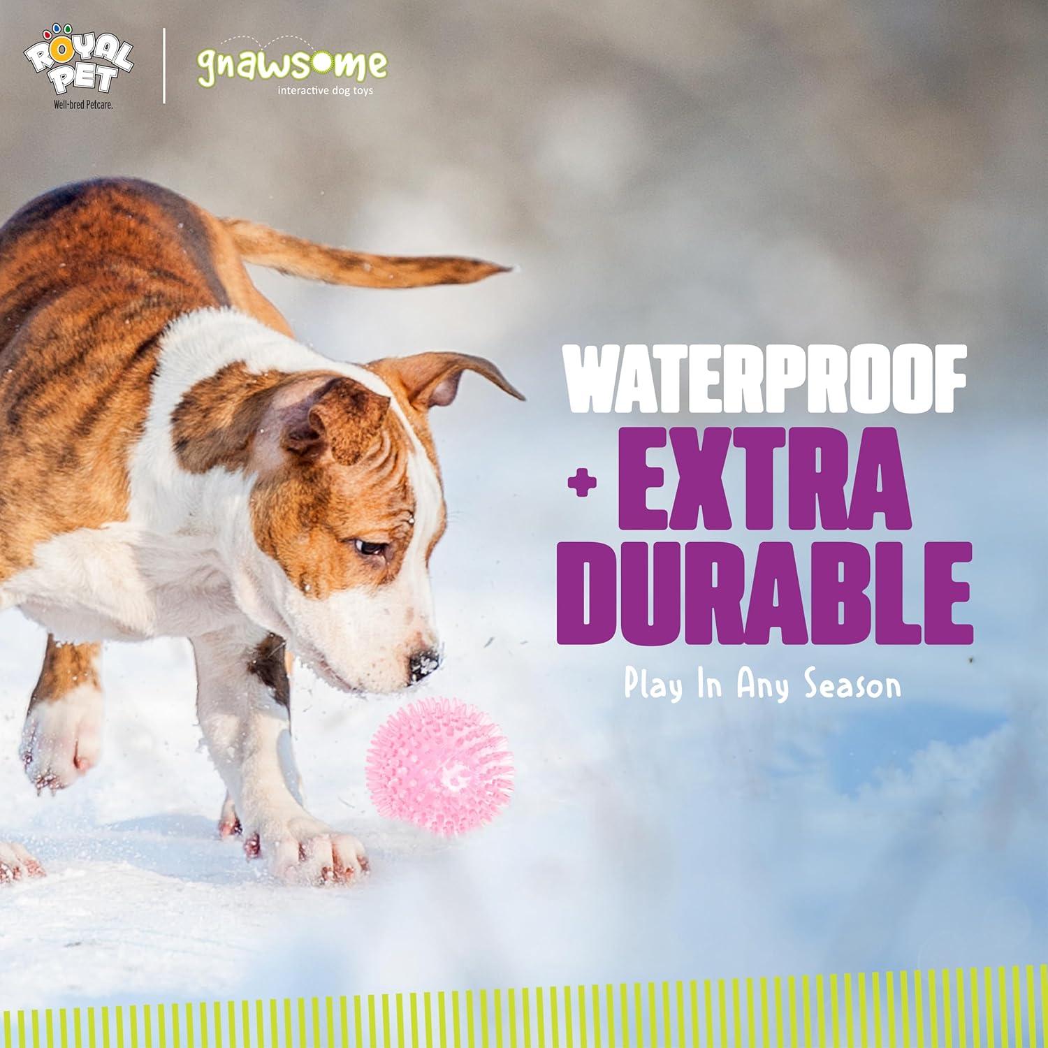 Pelota Squeaker Mediana Gnawsome Royal Pet 8.9 cm para Perros