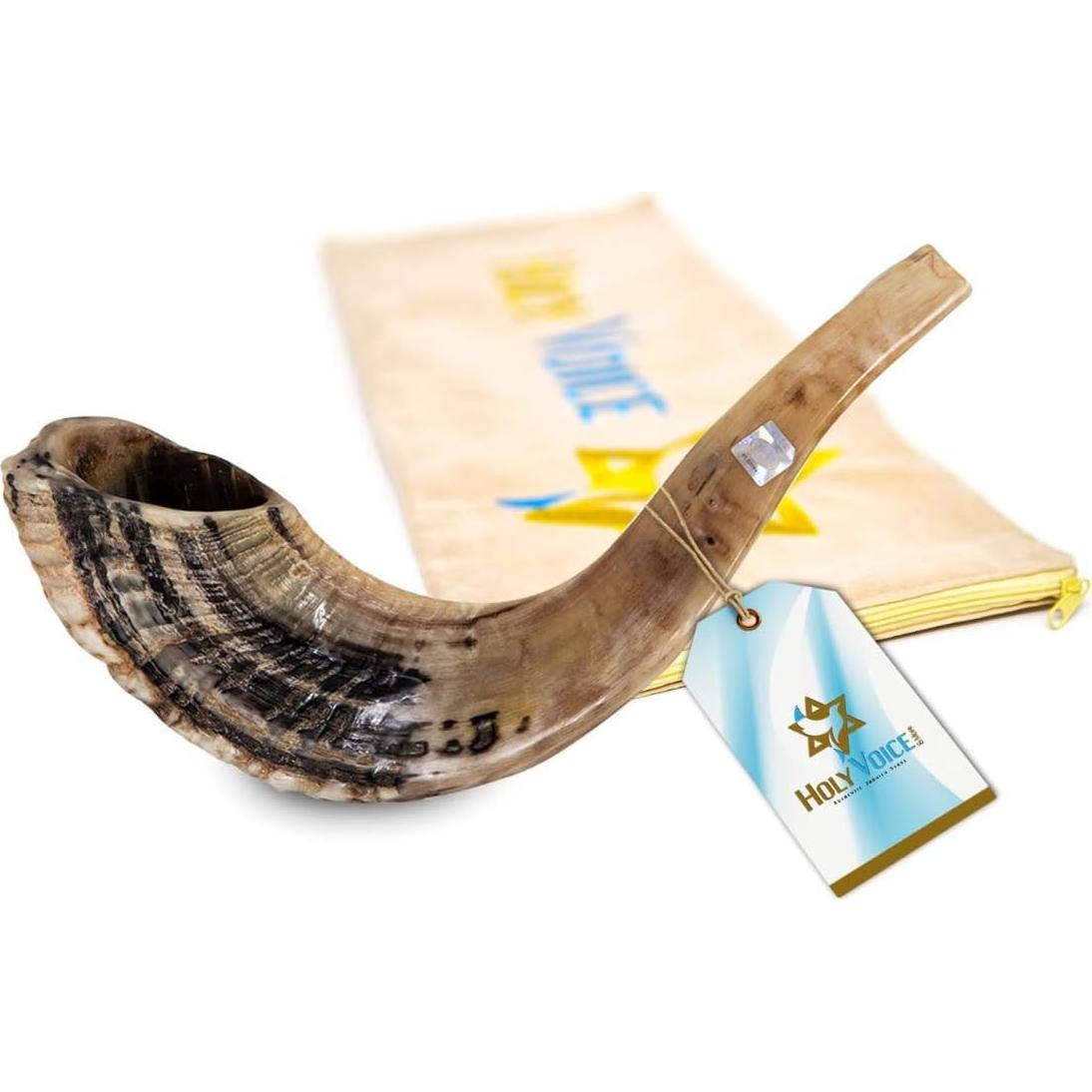 Shofar de Carnero Kosher Holy Voice 30-35 cm con Bolsa