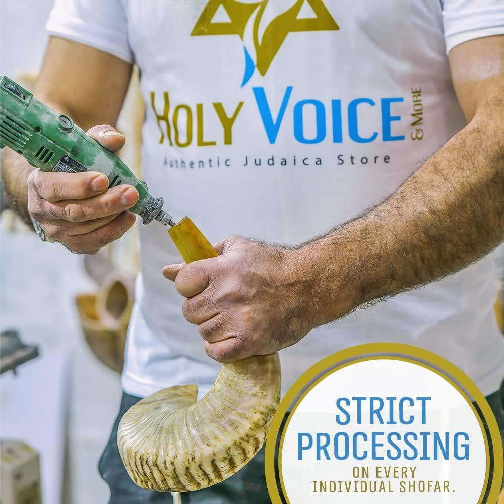 Shofar de Carnero Kosher Holy Voice 30-35 cm con Bolsa