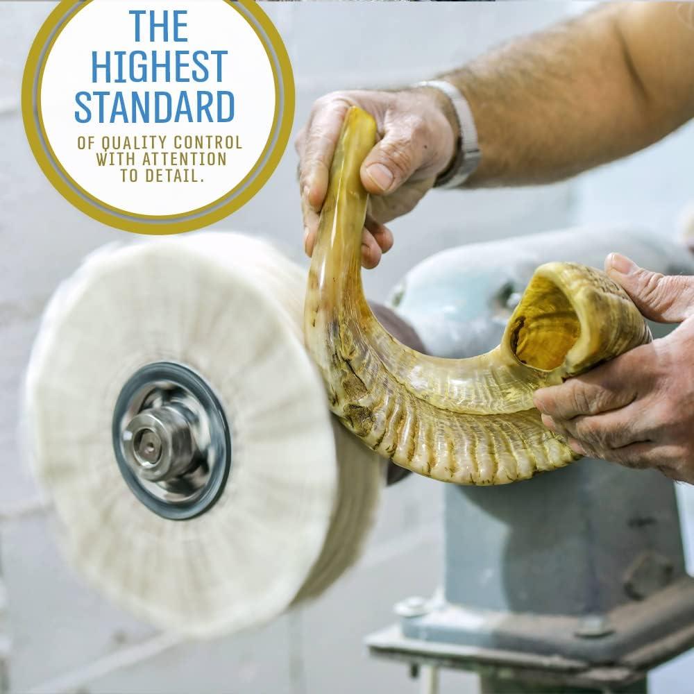 Shofar de Carnero Kosher Holy Voice 30-35 cm con Bolsa