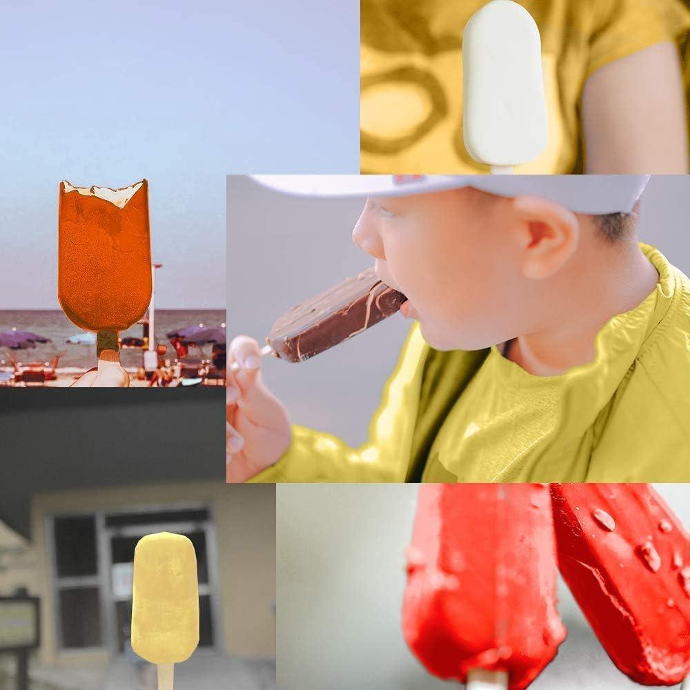 Moldes de Silicona para Paletas ABSOK con Tapa - 2 Piezas