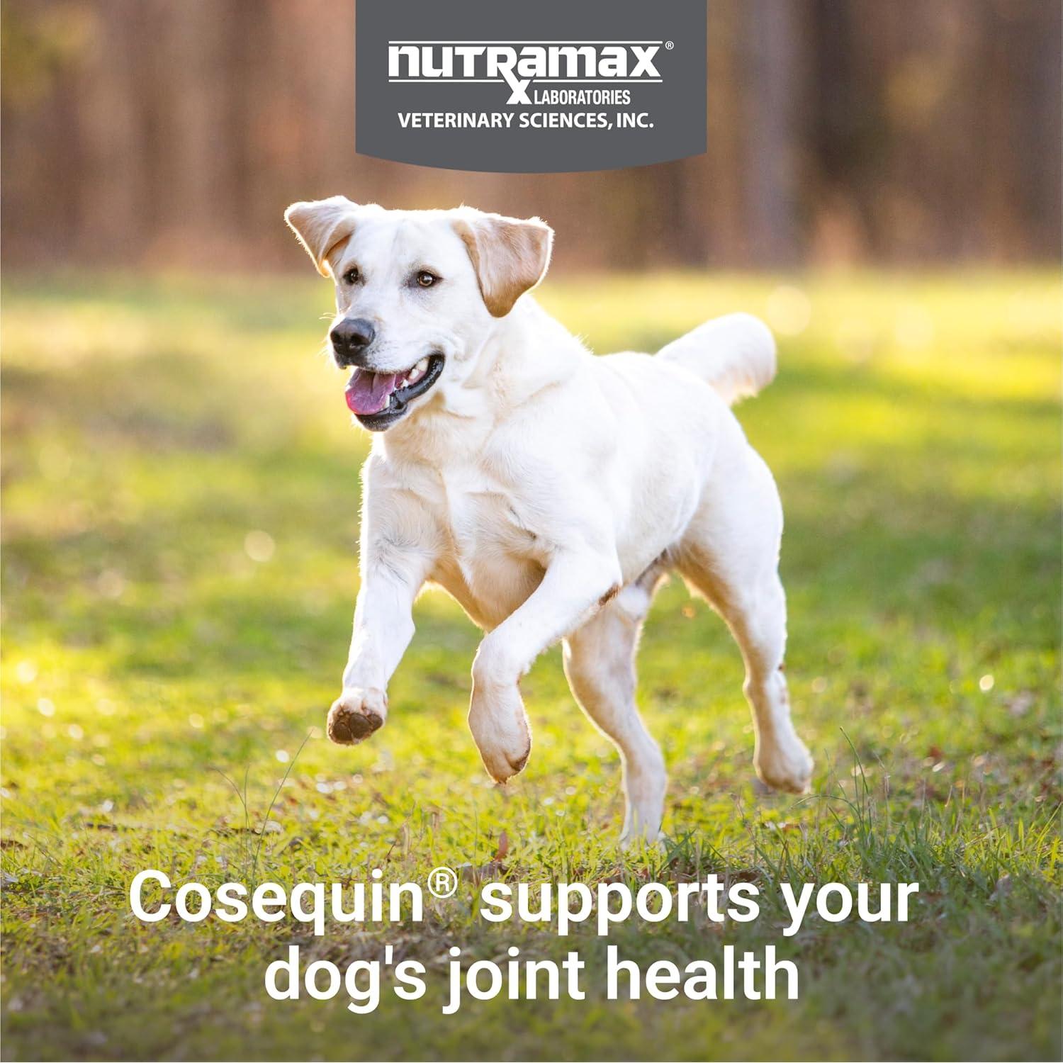 Suplemento Articular Cosequin para Perros 60 Tabletas Masticables