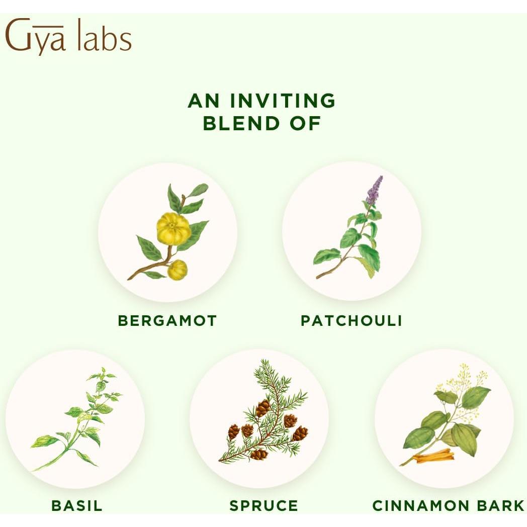 Aceite Esencial Fortune Gya Labs 10 ml - Mezcla Elevadora