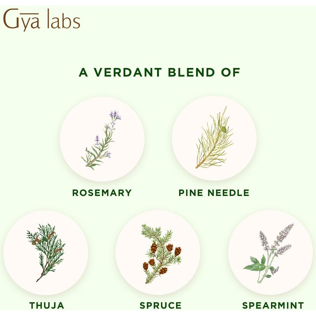 Aceite Esencial Gya Labs Bosque Helado 10 ml - Revitalizante