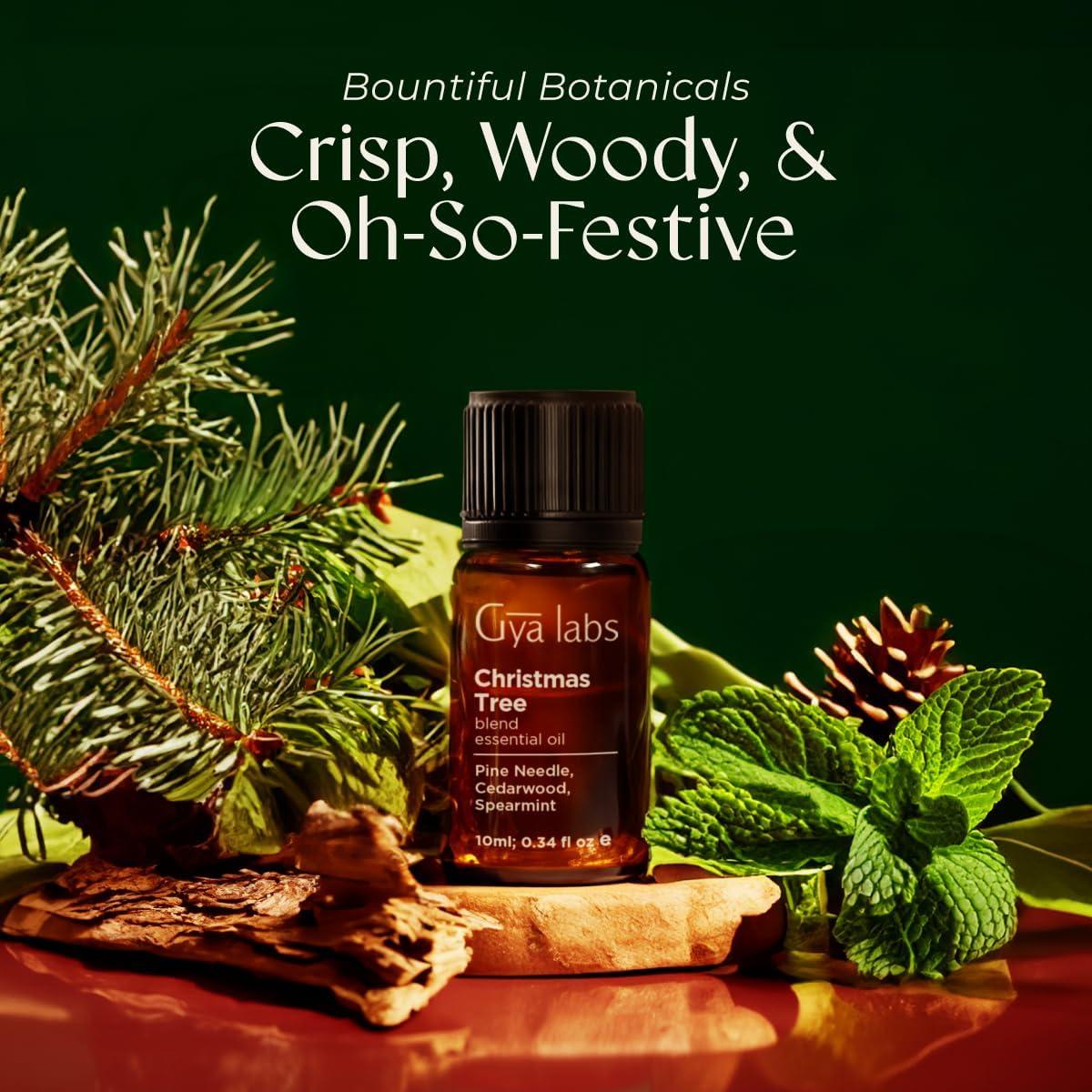 Aceite Esencial de Árbol de Navidad Gya Labs - 10 ml - Aromaterapia